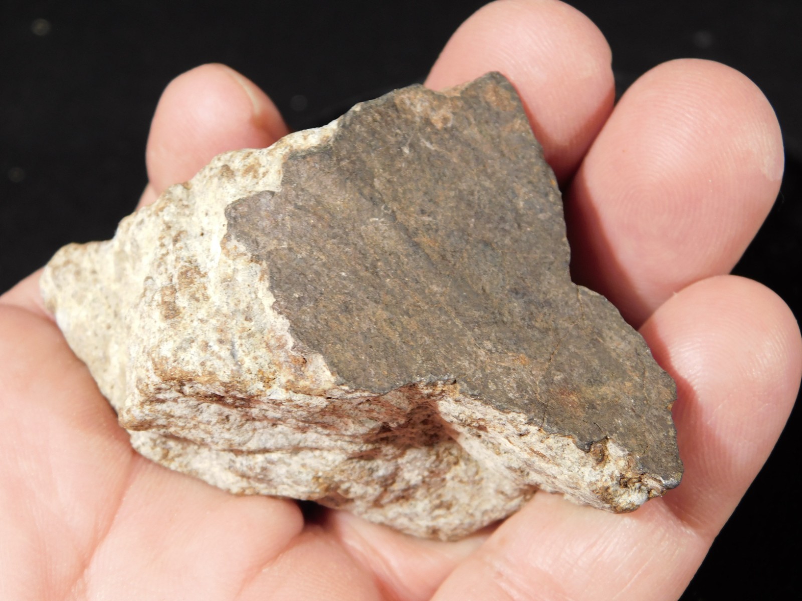 Classified NWA 8245 METEORITE 100% Natural FELL on Erfoud, Morocco 110gr