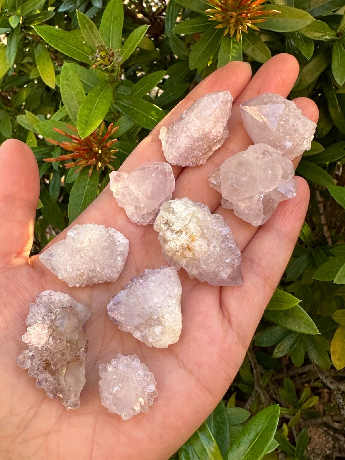 Spirit Quartz Clusters Crystal Collection Box: 6 – 7 oz Box Lot, 11 – 14 Pieces