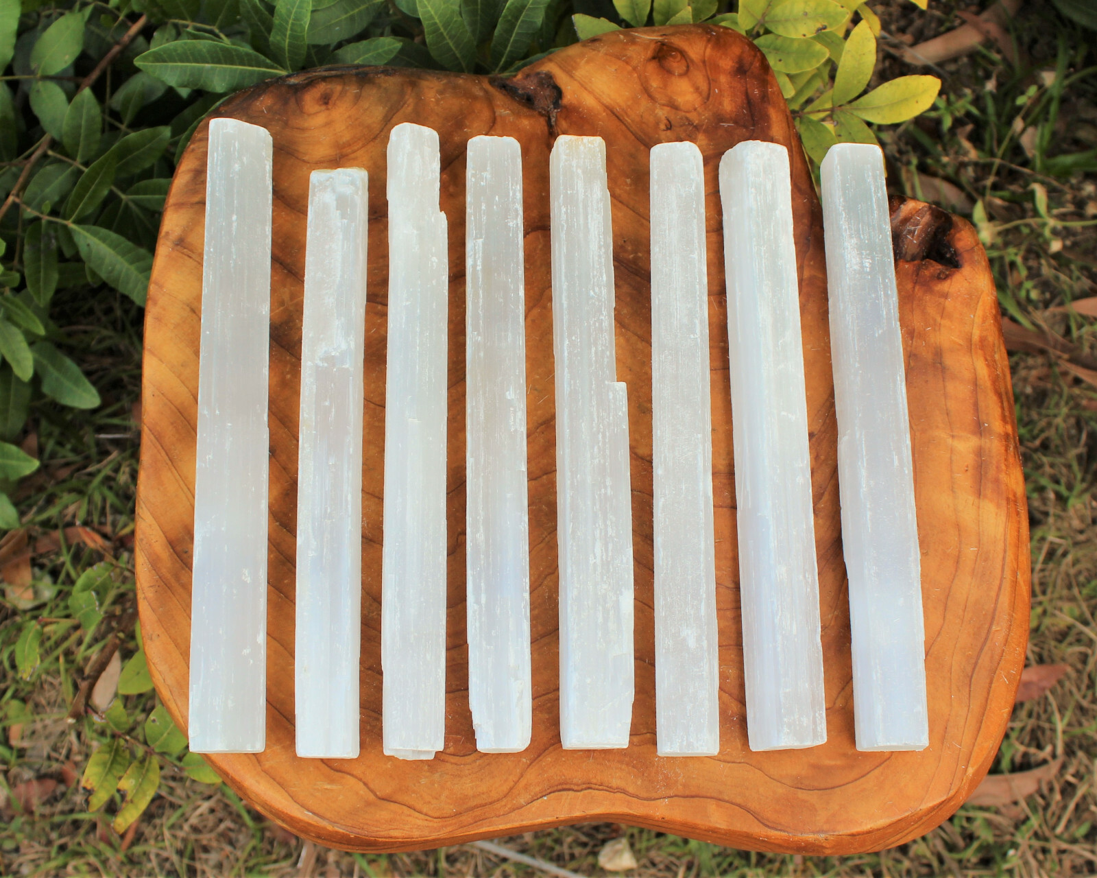 5 lb Bulk Wholesale Lot 7″ – 8″ Selenite Logs Crystal Sticks Wand Blade 5 Pounds
