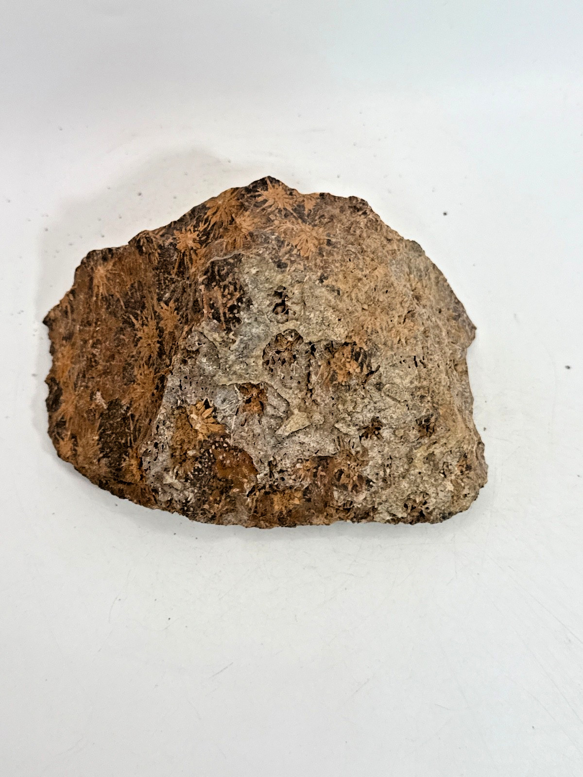 Beautiful Spider Jasper Chrysanthemum Specimen 529 Grams