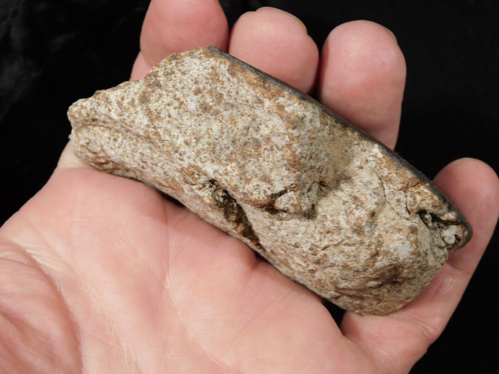 Larger! Classified NWA 8245 METEORITE 100% Natural! Erfoud, Morocco 184gr