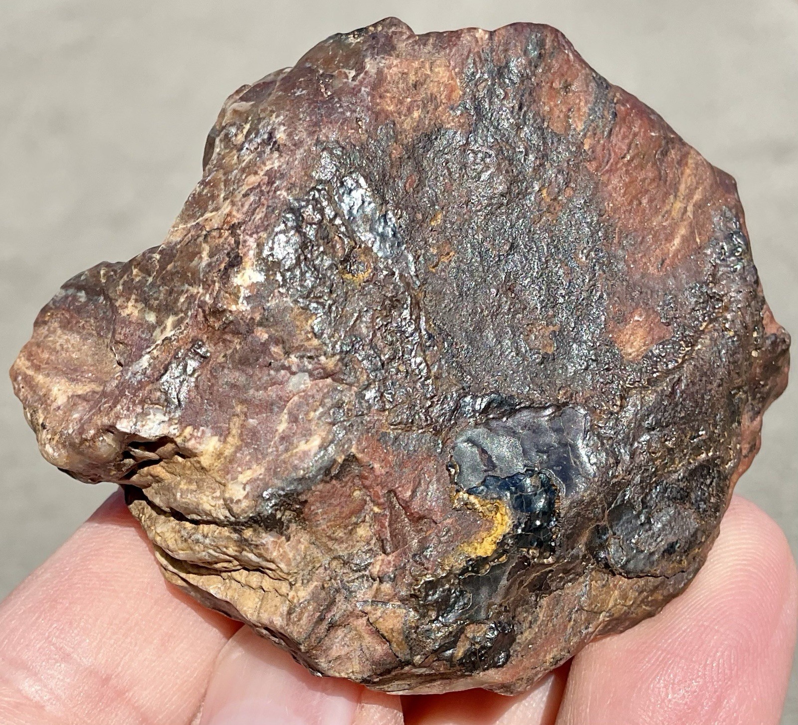 141g Banded Iron Petrified Wood Pseudomorph Rare Minnesota Rough Lapidary