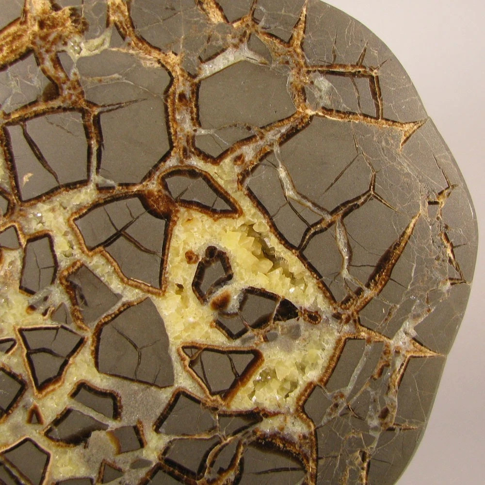 6.2″ Polished SEPTARIAN GEODE End Slab – Utah – 2.5 lbs.