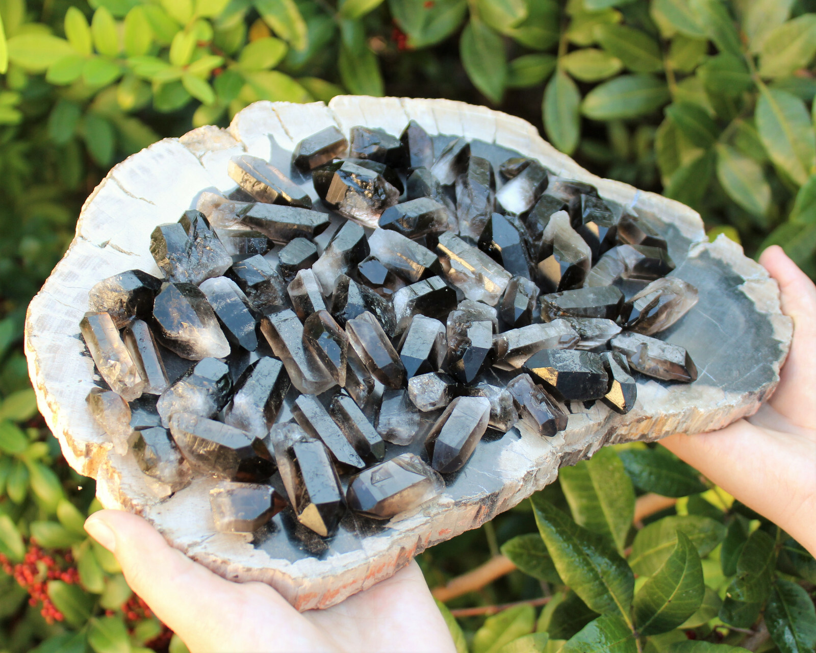 3 Large Smoky Quartz Points (1″ – 1.5″) (Raw Rough Smokey Quartz Points)