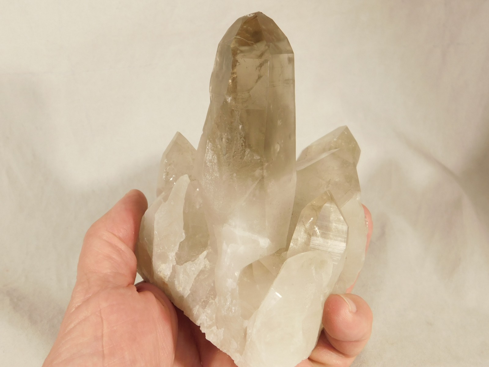 BIG! Free Standing! SMOKY Quartz Crystal Cluster From Brazil 792gr