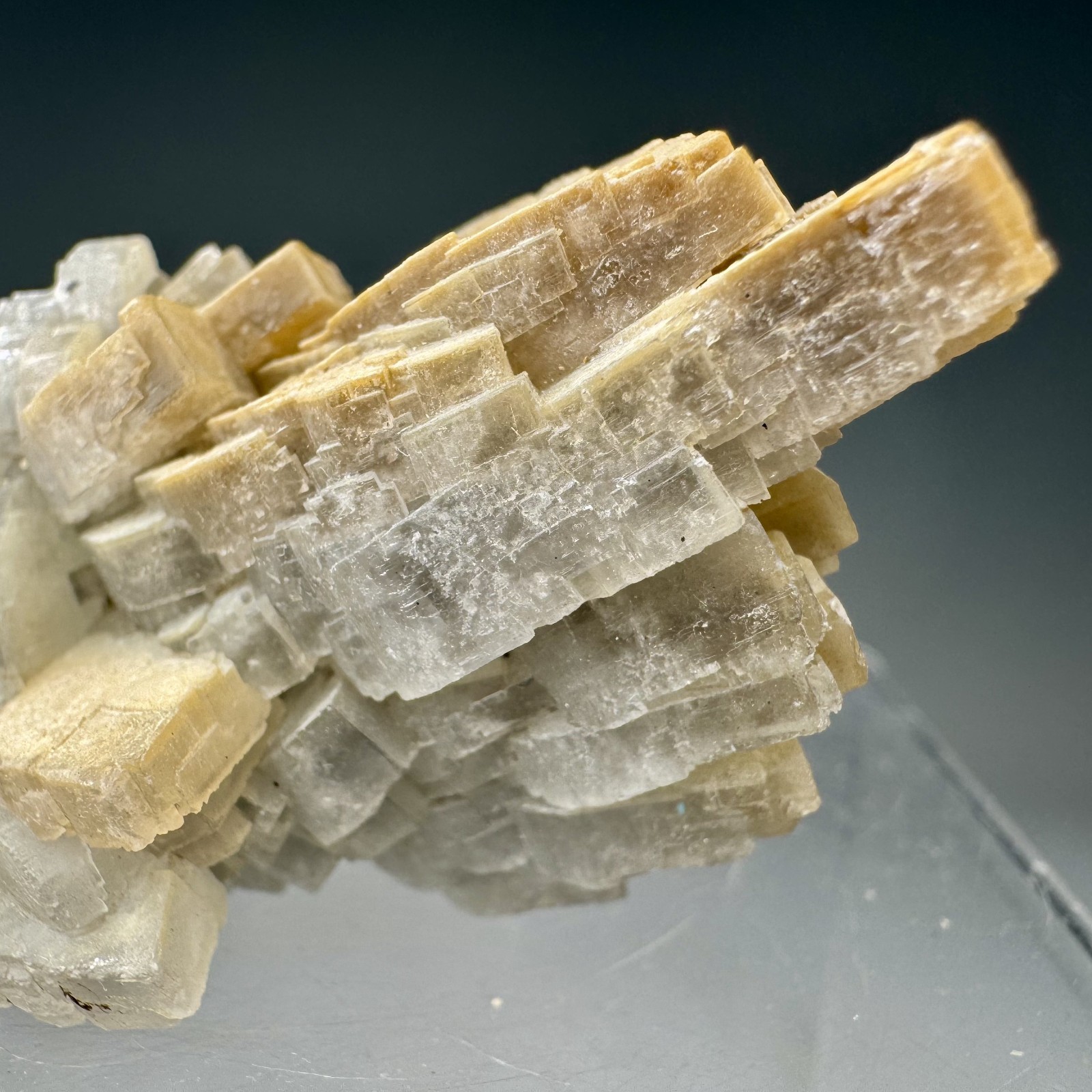 Fine Baryte Crystal Group: Paga No. 1 Mine, Cartersville, Georgia- Classic!!