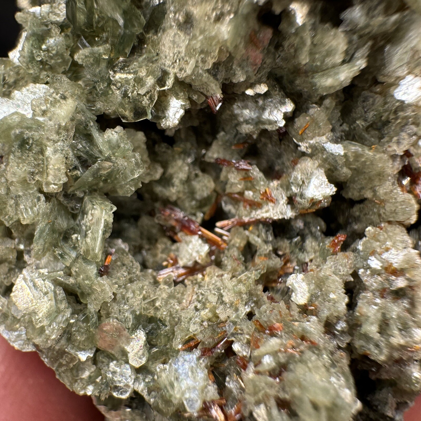 Lot of 4 Green Crystalized Mica Crystal Clusters with Rare Red Rutile Crystals
