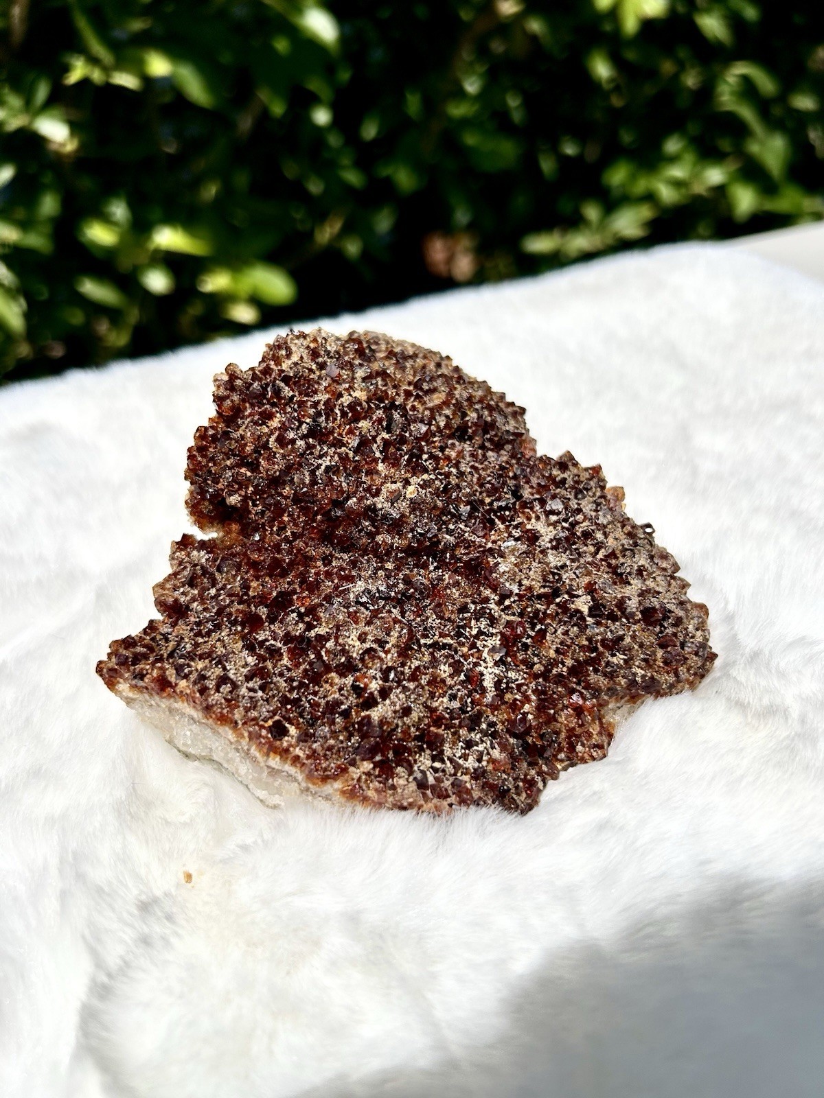 Natural Citrine Crystal Cluster – Sparkling Druzy Honey Quartz Specimen