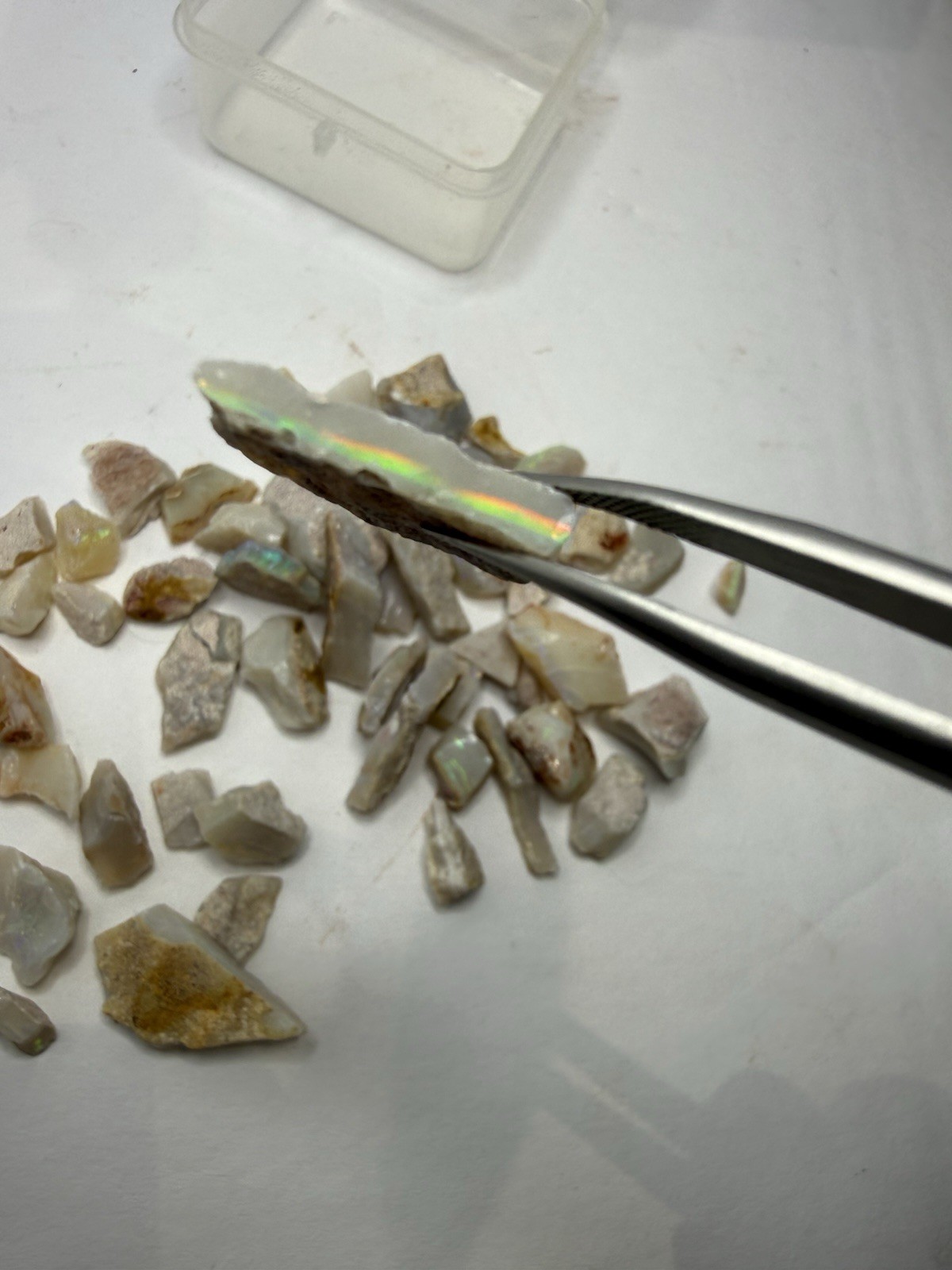 Lot Of Natural Australian Opals Multicolor Flash 26g Total With Plastic Case