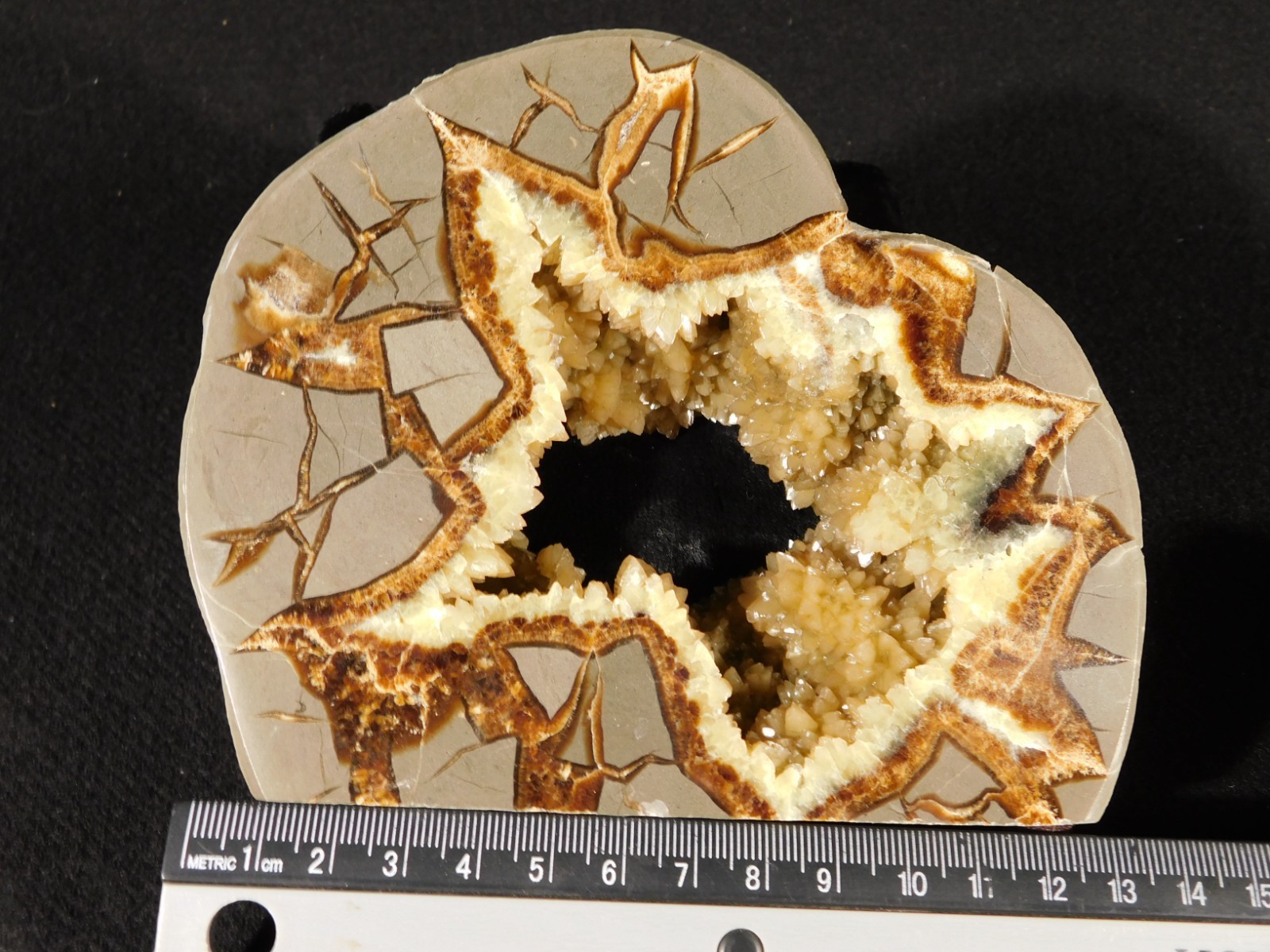 Big! Polished AAA Crystal Filled Hollow Septarian GEODE FREE Standing Utah 780gr