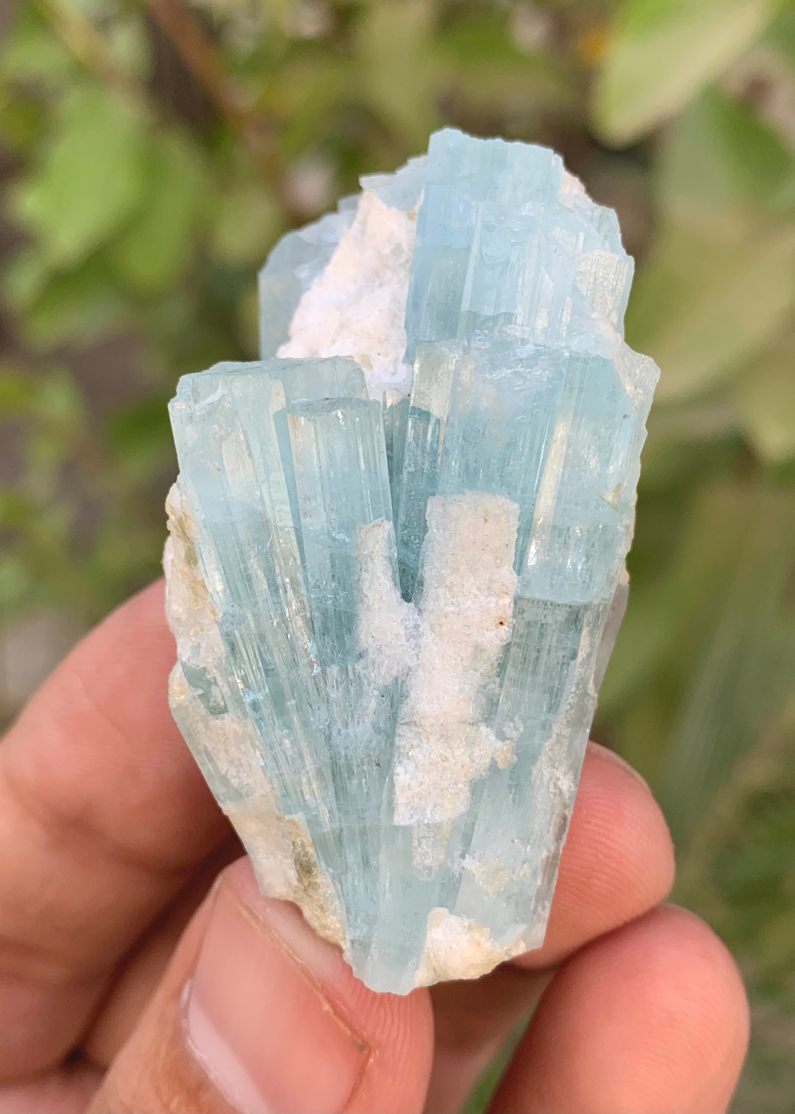 38 Gm Natural Sky Blue Aquamarine Crystal Cluster Specimen From Skardu Pakistan