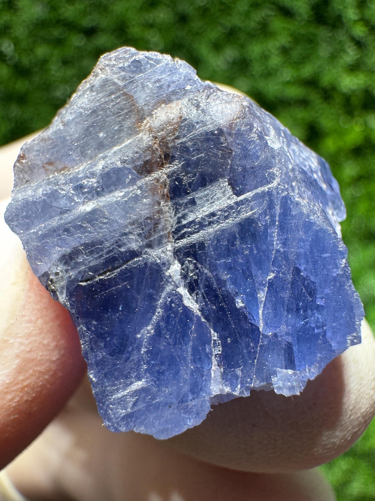 Lovely TANZANITE Crystal with COLOR CHANGE under yellow/white light / N432