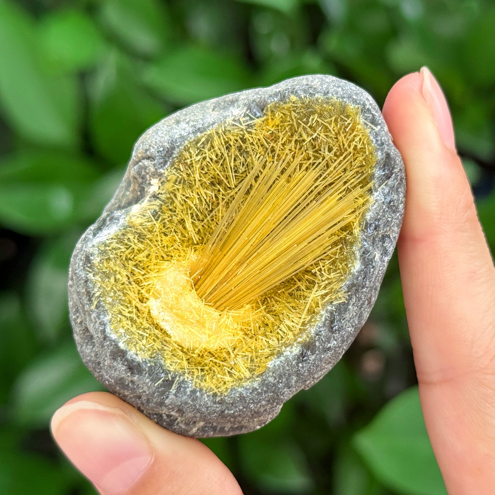 Natural Raw Magnetite Goethite Yellow Copper Ore Mineral Cluster Geode Specimens