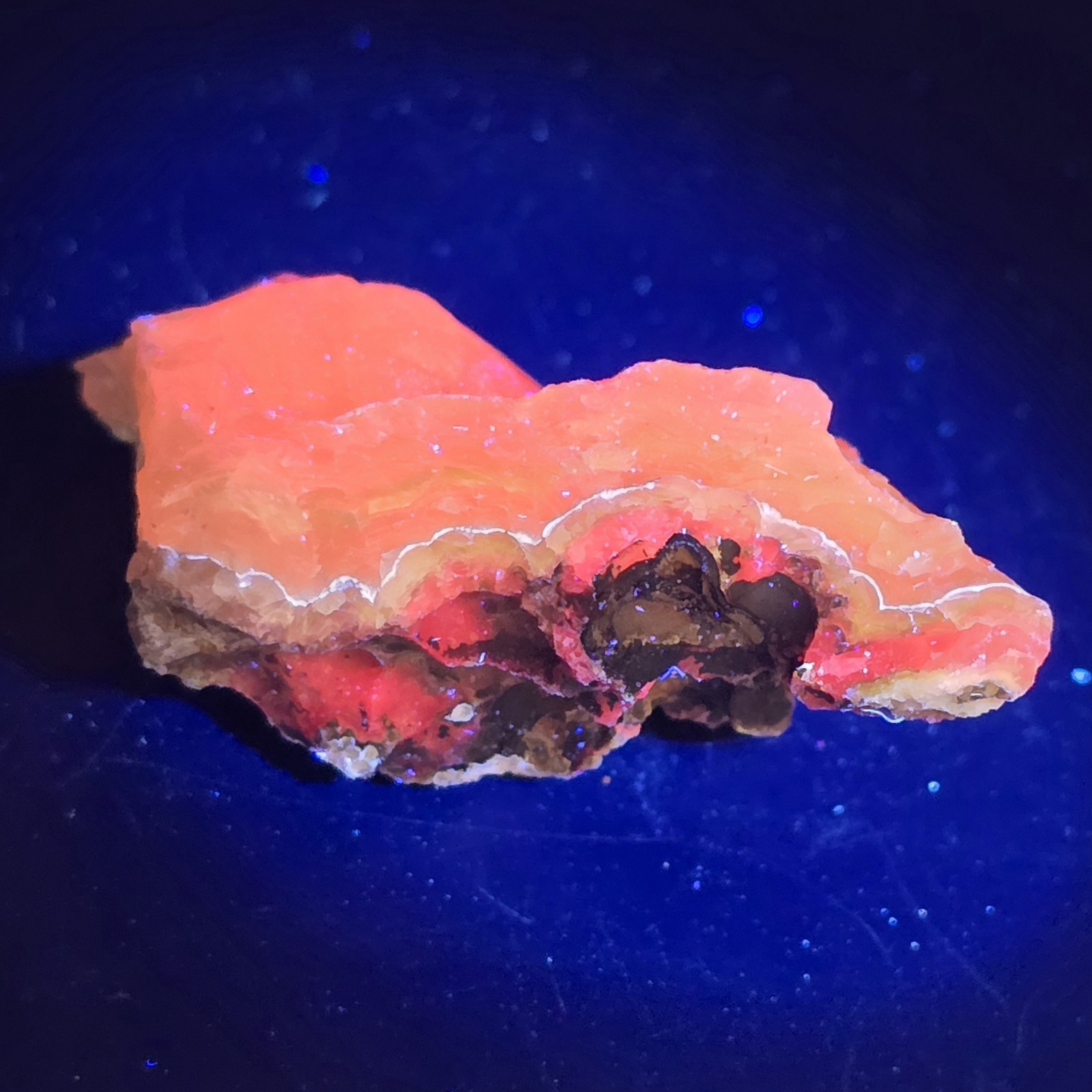Florescent Smithsonite Botryoidal Specimen Gemstone Crystal Mineral Mexico