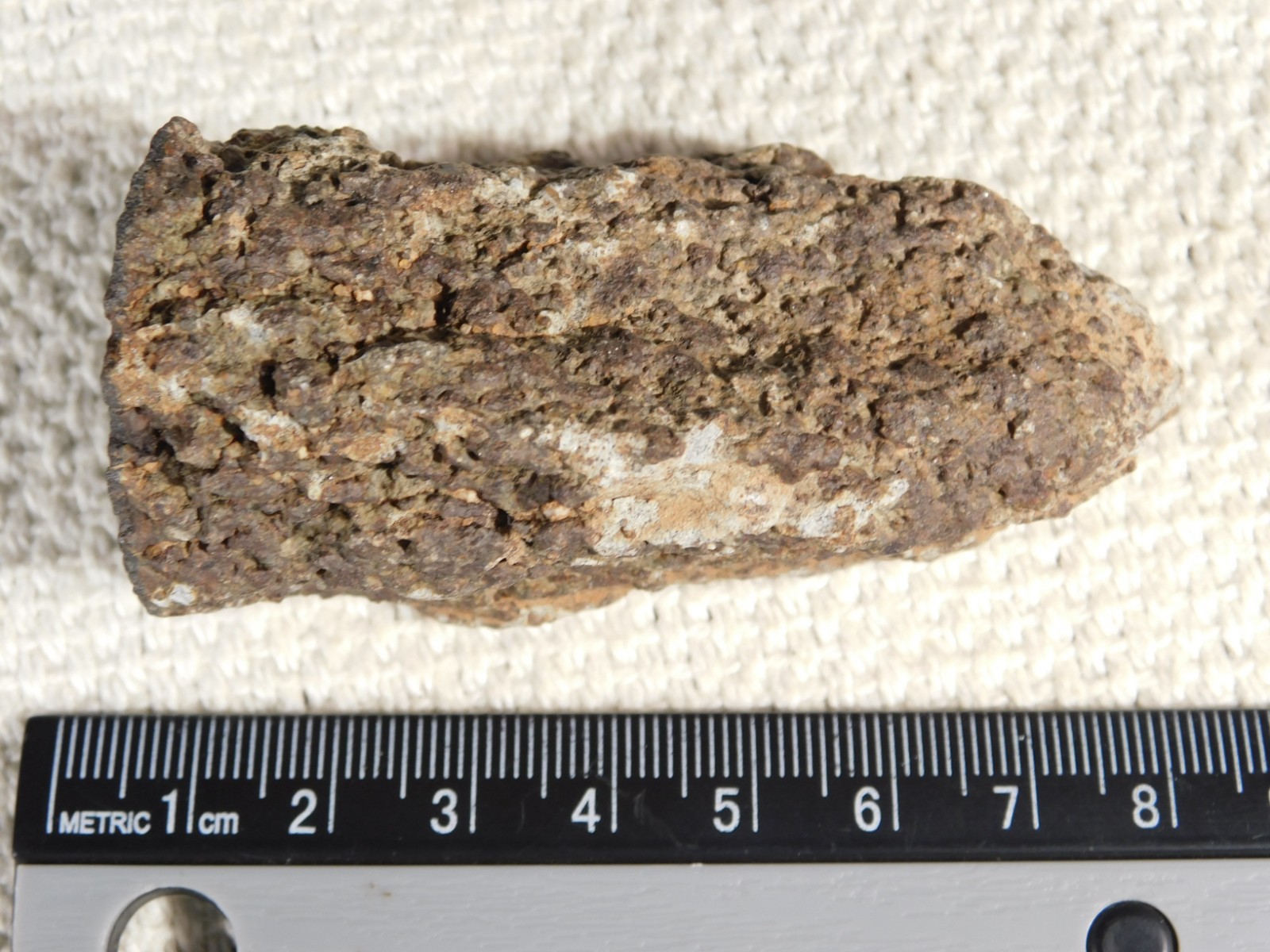 Classified NWA 8245 METEORITE Spots of Dark Fusion Crust! Erfoud, Morocco 136gr