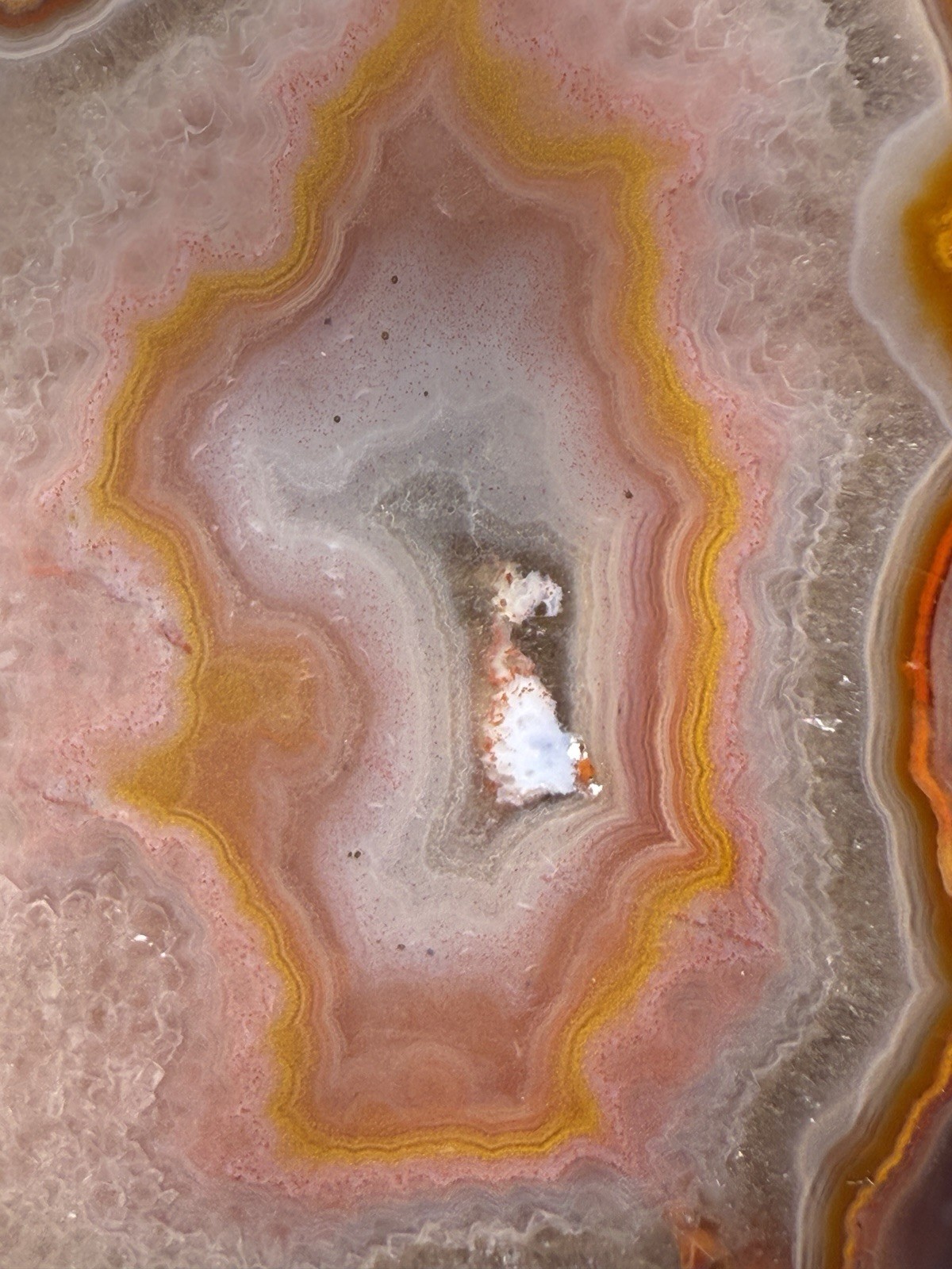 SEE VIDEO High-Grade Multicolor Moroccan Agate | High Atlas | Collector Specimen