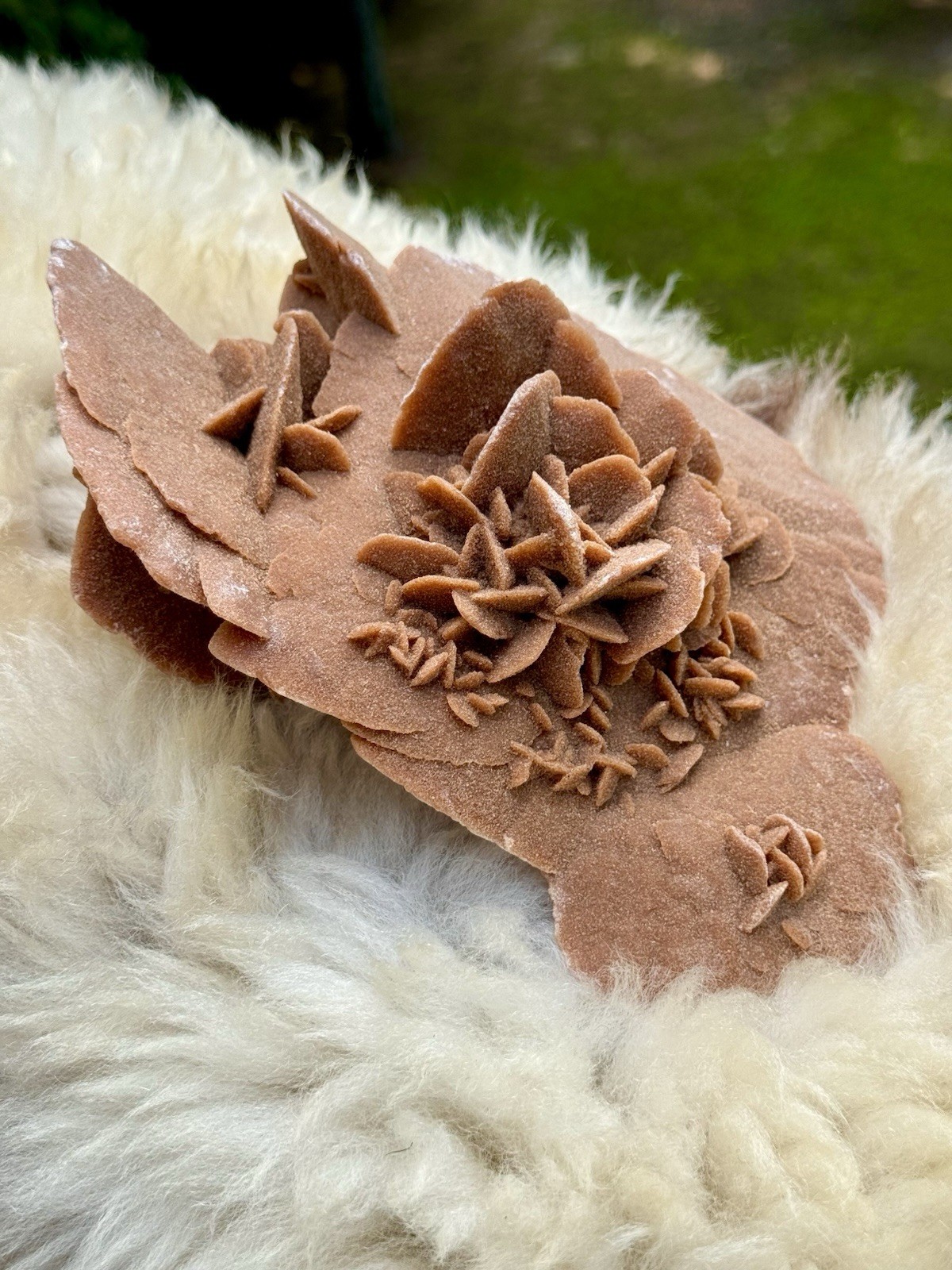 Large Desert Rose Selenite Gypsum Cluster 7” Natural Mineral Specimen 987g