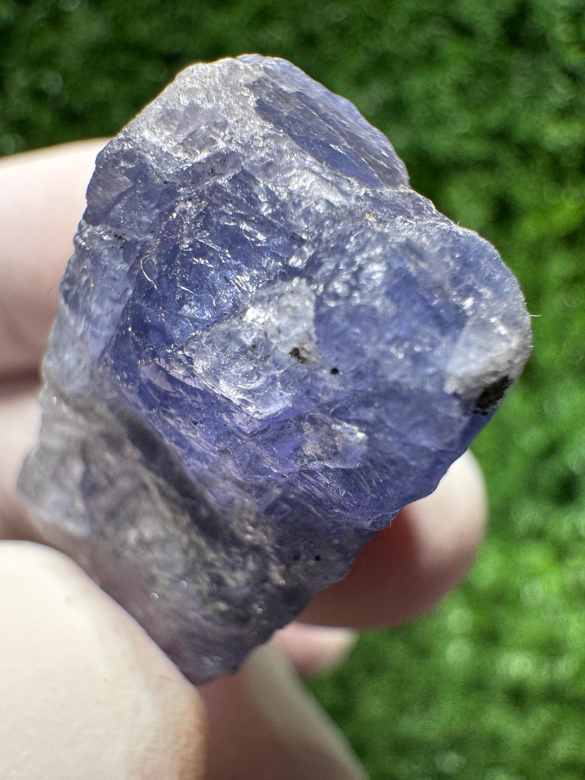 Amazing TANZANITE Crystal with COLOR CHANGE under yellow/white light / N427