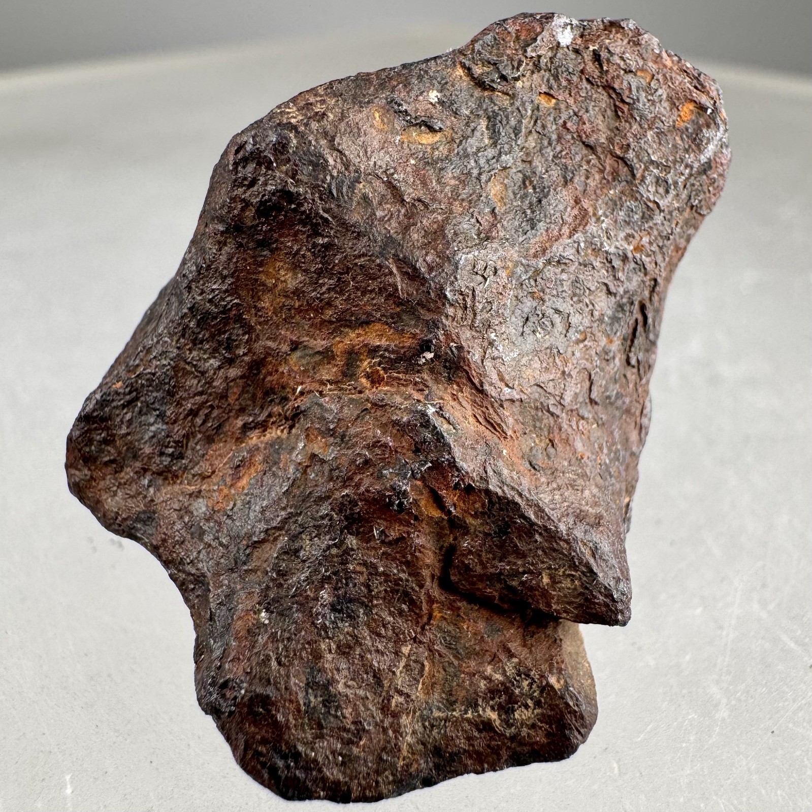 Iron Meteorite: Mundrabilla meteorite, Mundrabilla Roadhouse, Australia