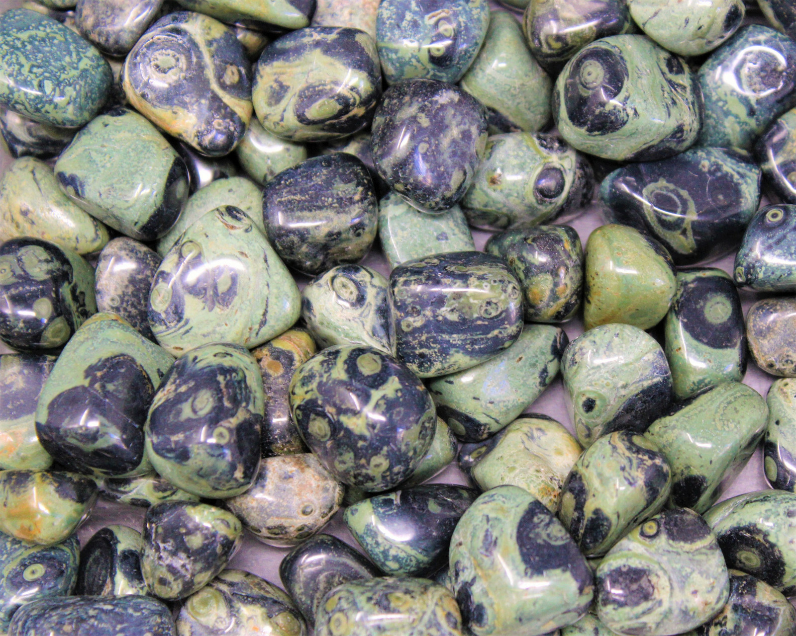 1/4 lb Bulk Lot Kambaba Jasper Tumbled Stone (Crocodile Jasper) 4 oz
