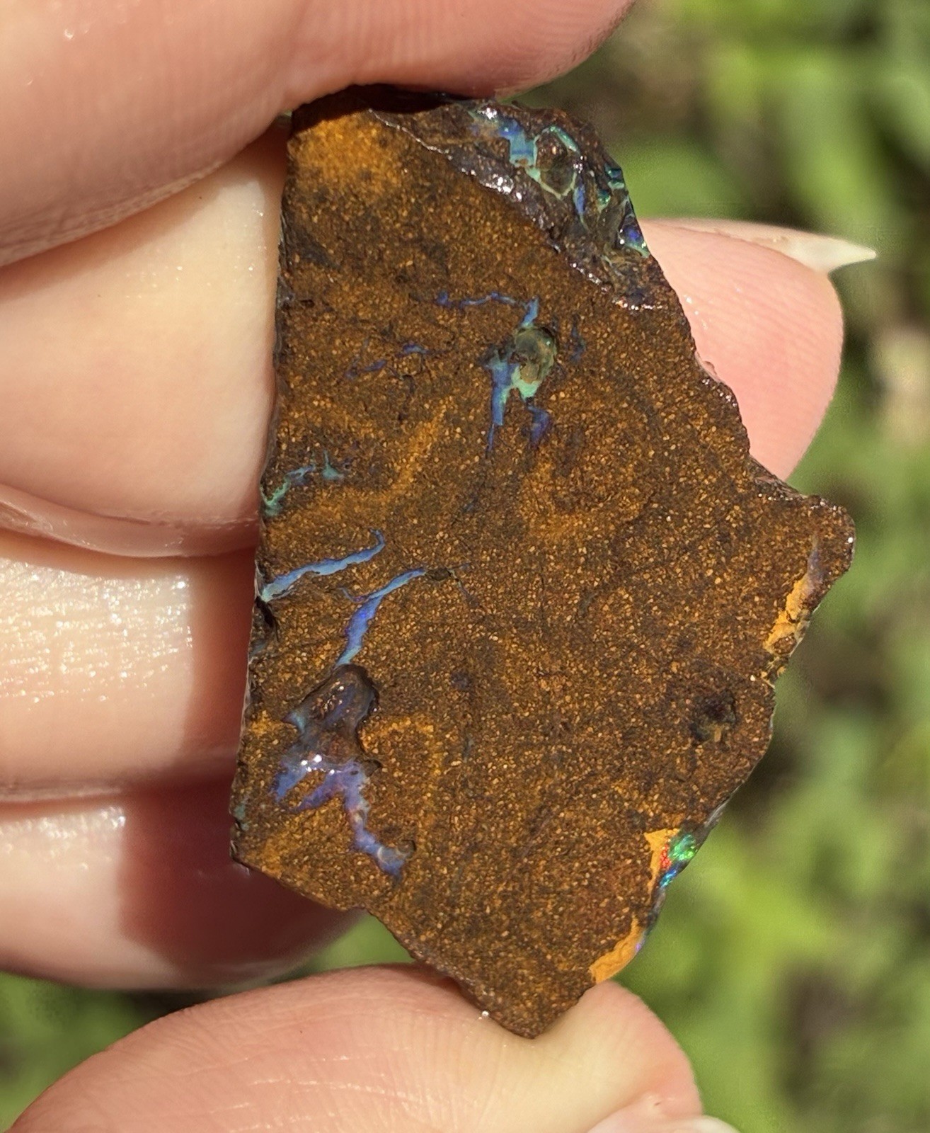 Pretty 47ct Australian Boulder Opal Rough Loose Multicolor Specimen PP