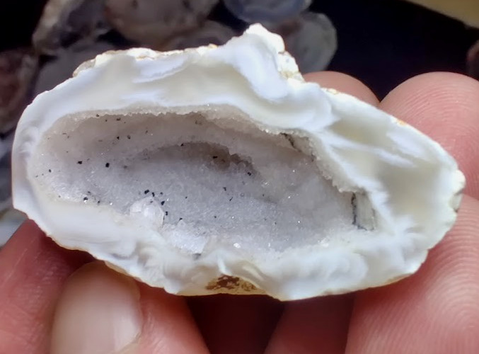 GORGEOUS Oco Geode Agate Half #14 – Exact Specimens, No Bulk! Collector-Quality