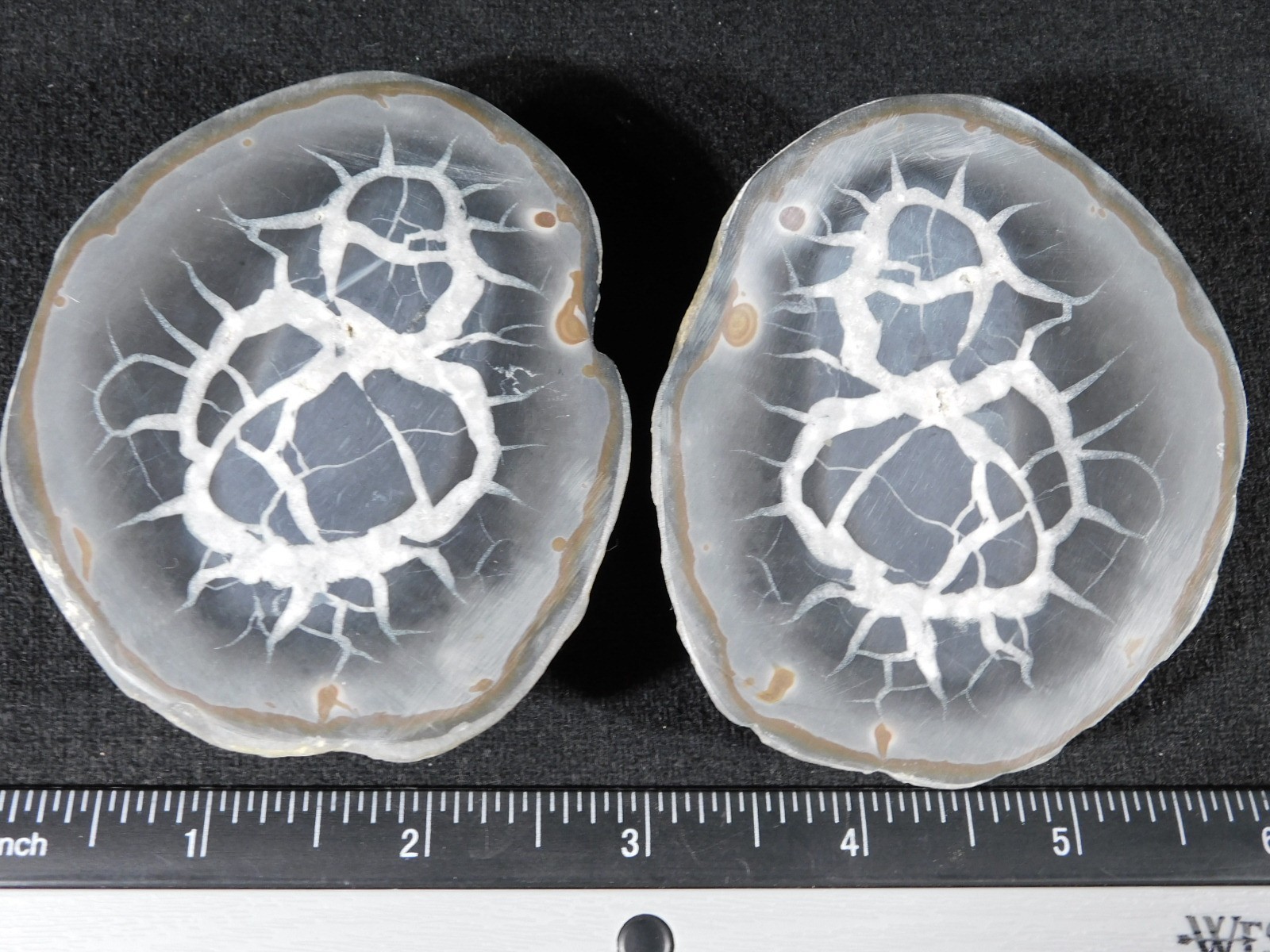 Larger! Cut and Polished SEPTARIAN Nodule 100% Natural Morocco 341gr