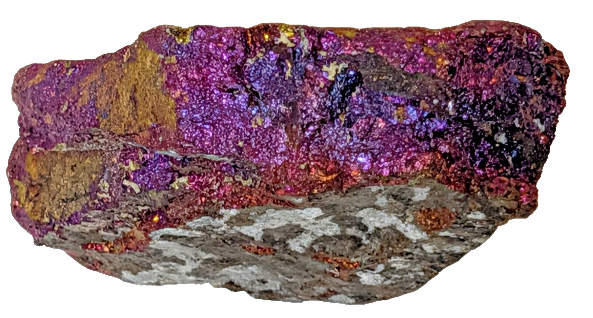 Bornite Peacock Ore Iridescent Tarnish Mexico Copper Sulfide Specimen BEAUTIFUL