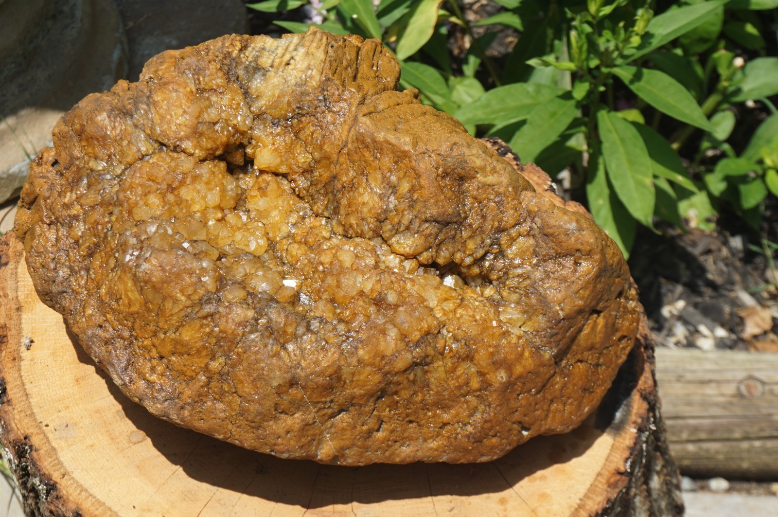 HUGE 30 Lbs. Kentucky Geode