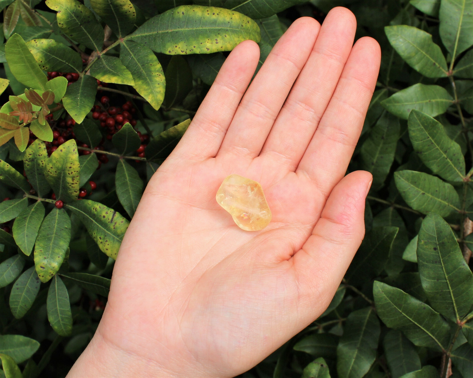 5 lb Bulk Citrine Tumbled Stones: A Grade (Crystal Healing, Chakra)