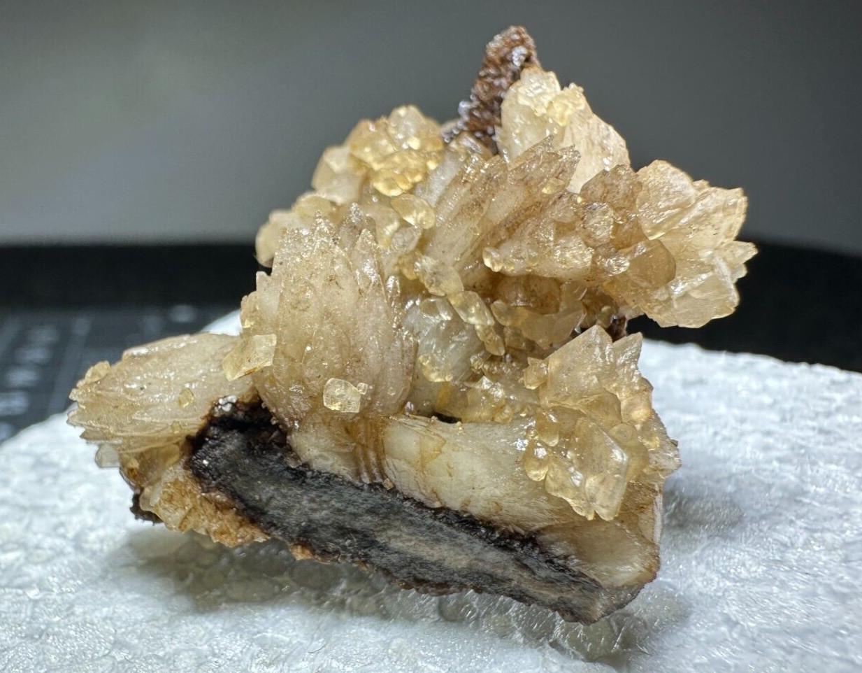 ➤ 1-7/8″ DOGTOOTH CALCITE CLUSTERS Pleasant Ridge Rensselaer Indiana VIDEO➤438
