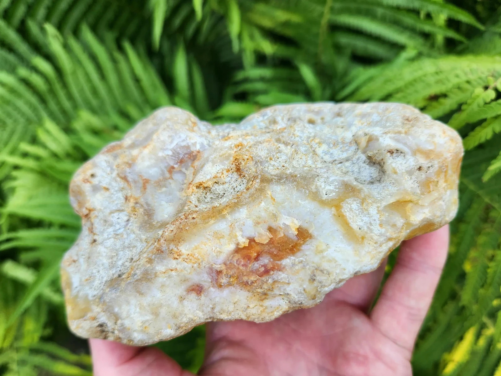 Large Oregon River Agate w/ Waterline Features, 2 lbs 4 oz, Chalcedony, Lapidary