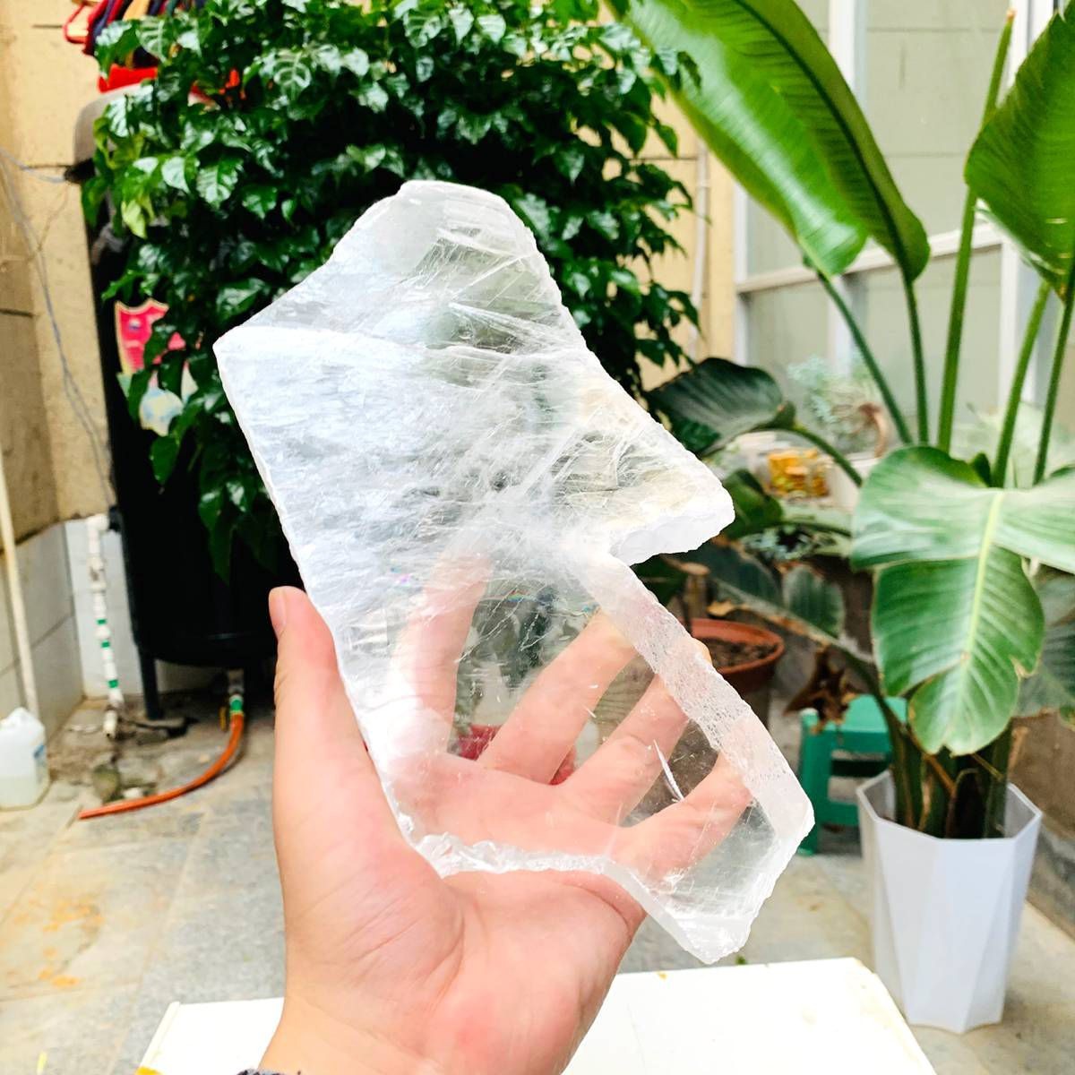 2.84LB Natural Clear Transparent Selenite Slab Gypsum Crystal Mineral Specimen