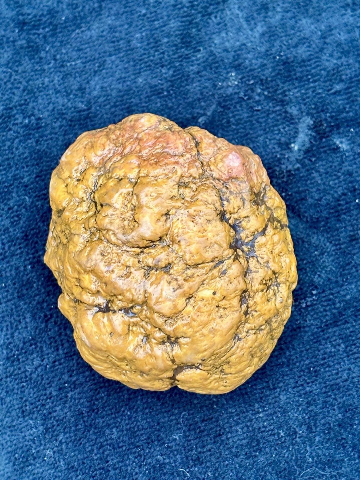 Lot of 4 MEDIUM Unopened Geodes | Jackson Co Indiana Glacial Boundary