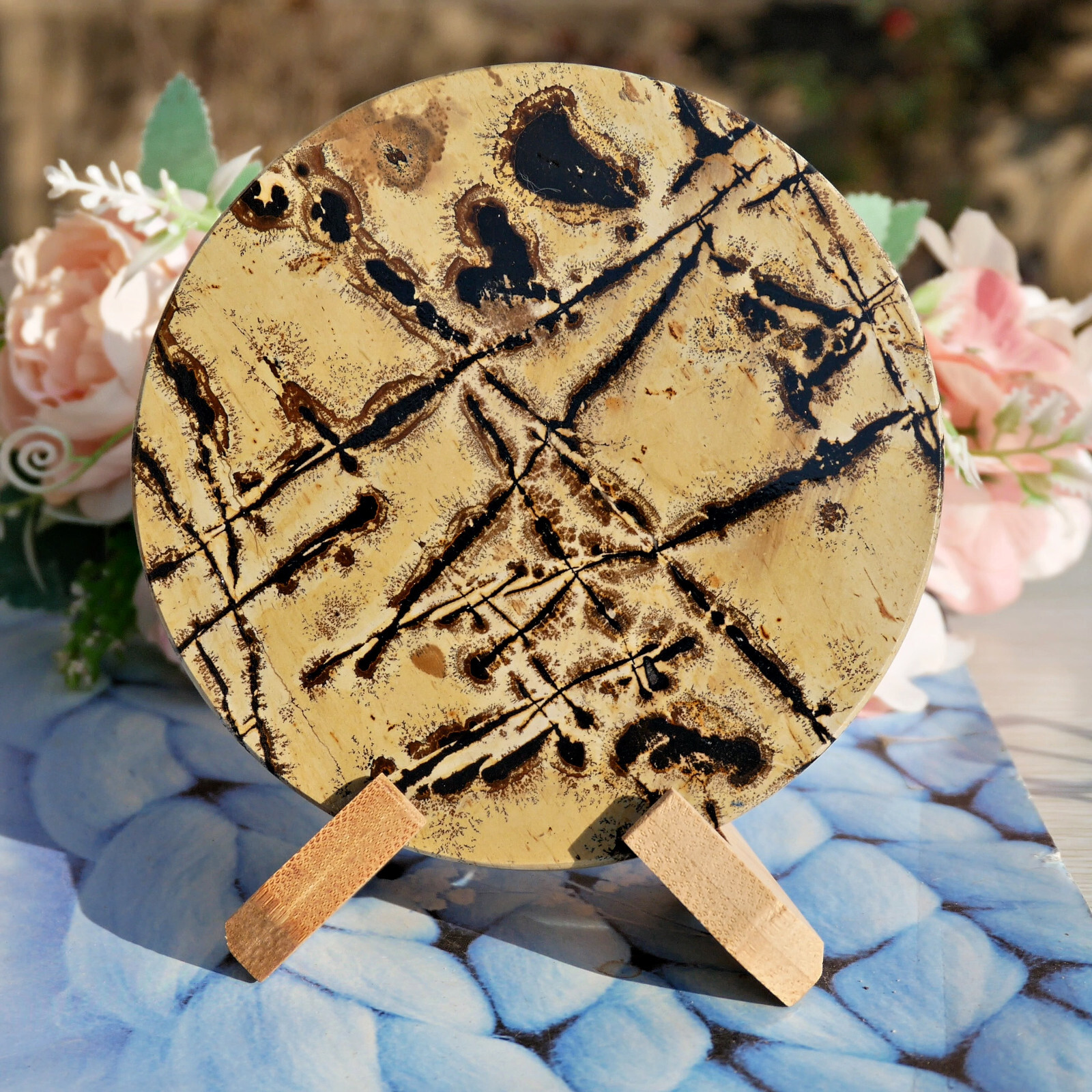 Natural Picture Jasper Landscape Slice 4.7″Large Crystal Display Art Stone Decor