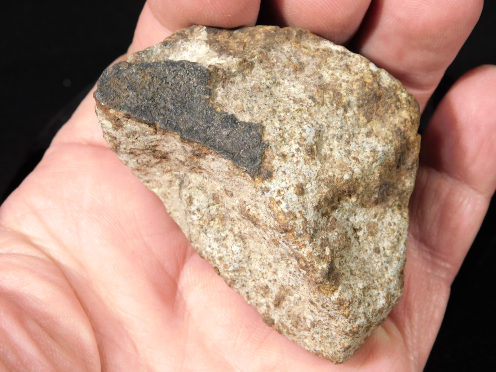 Classified NWA 8245 METEORITE 100% Natural Erfoud, Morocco 147gr