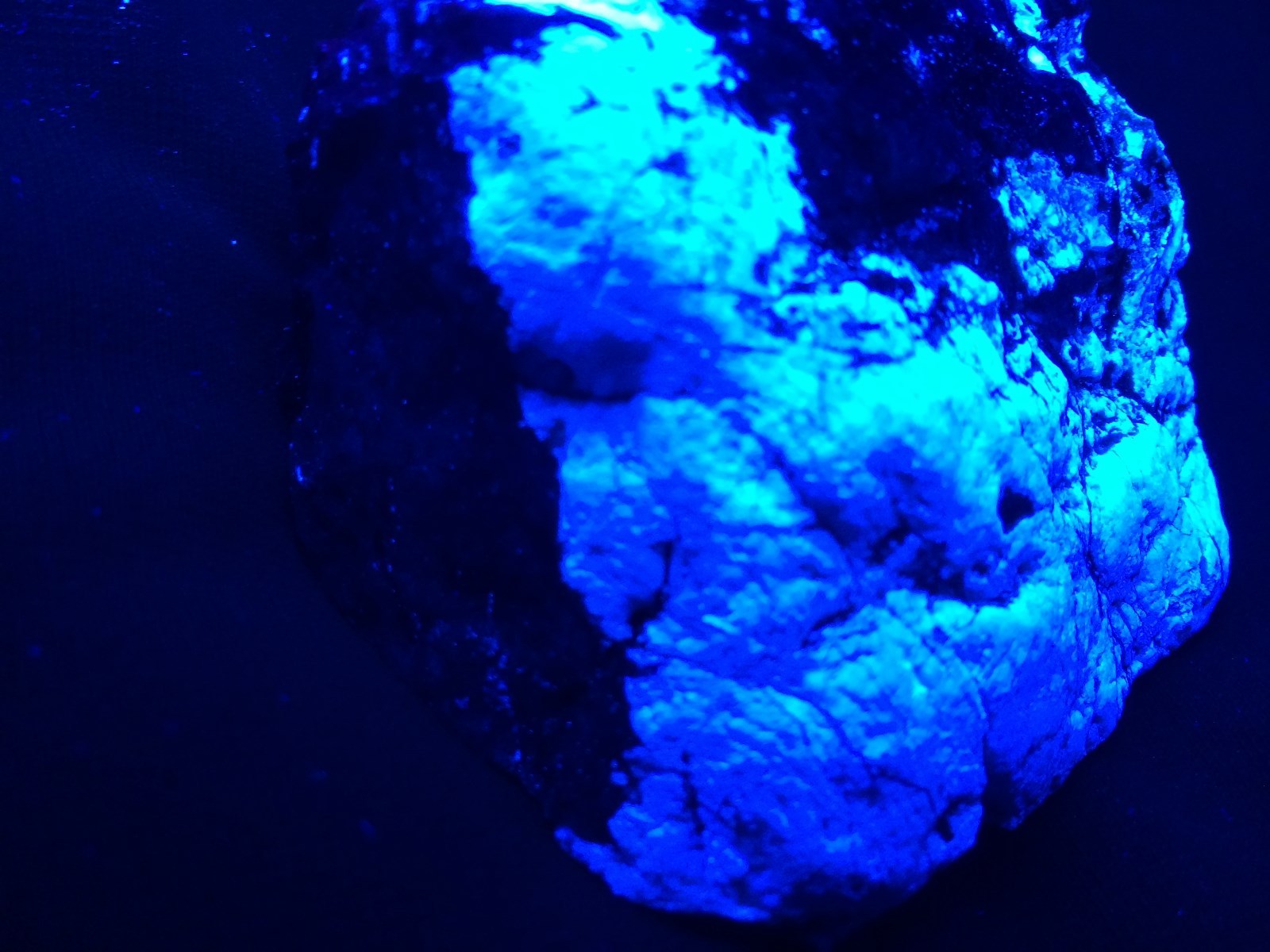 KB: DEC 2016 FANTASTIC ORE SPECIMEN SW FL. BLUE/WH SCHEELITE ANDREW MINE, CA