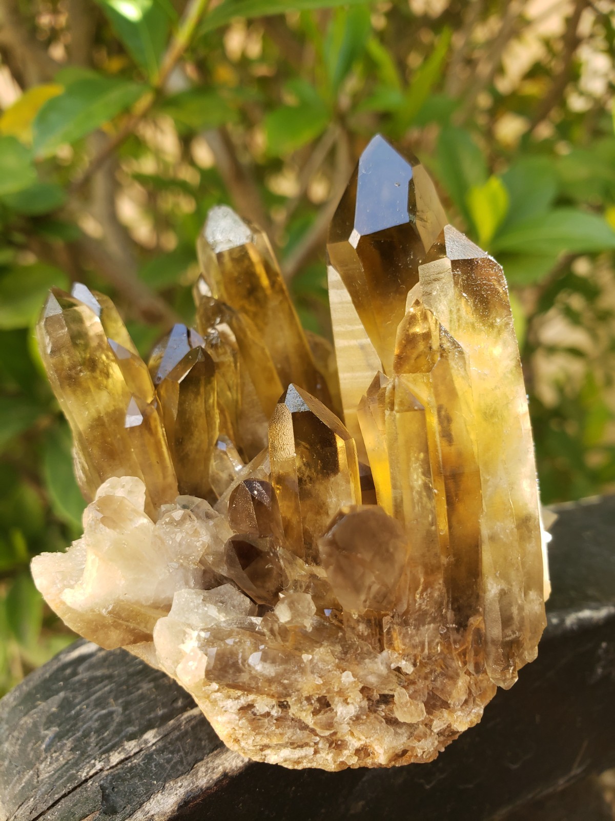 2.75″ Natural Smoky Citrine Quartz Crystal Cluster Mineral Specimen, 198g or 7oz