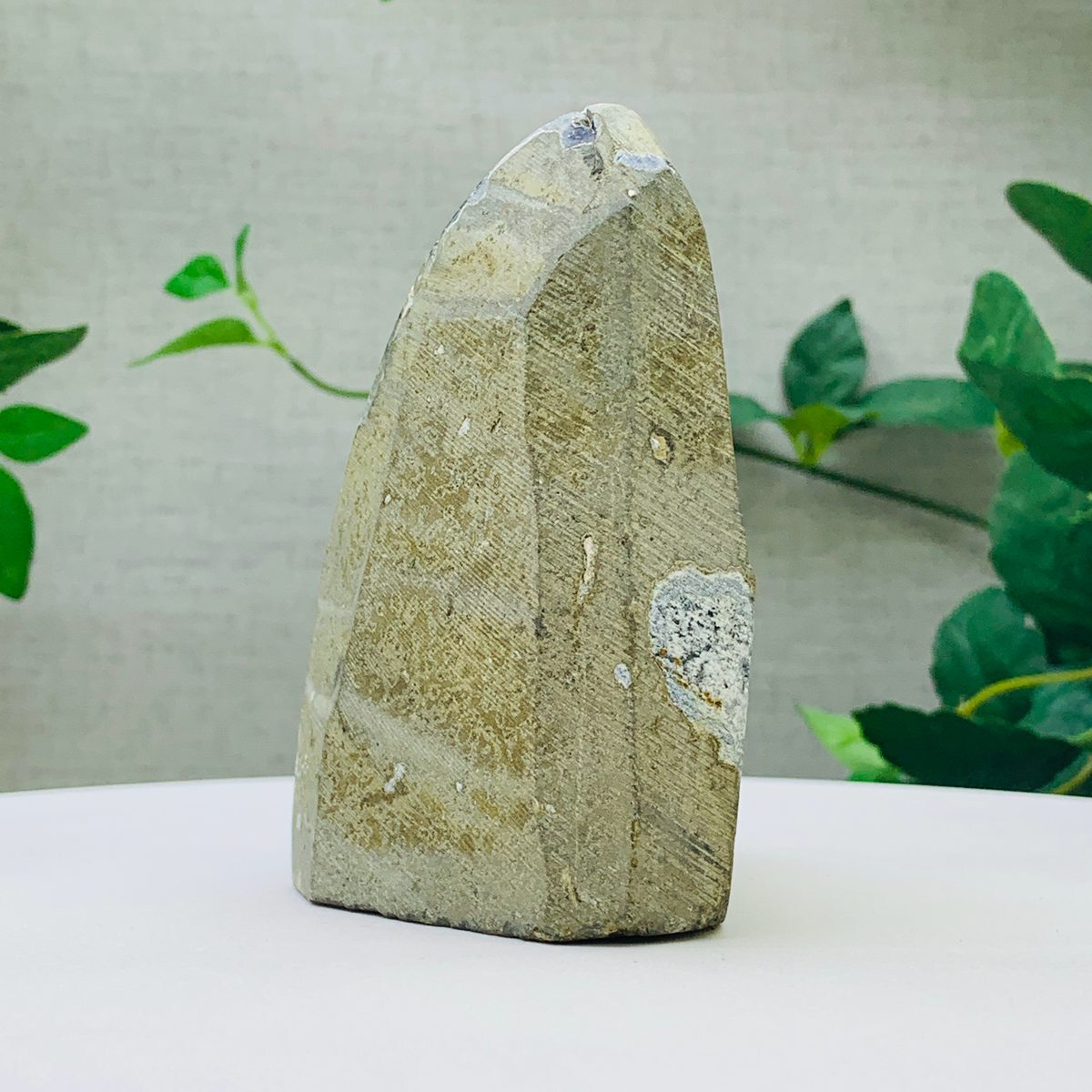 633g Natural Amethyst Geode Mineral Specimen Crystal Quartz Energy Decoration
