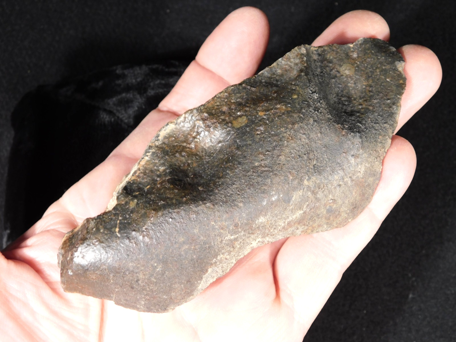 Classified NWA 8245 METEORITE Dark Crust and Regmaglypts! Erfoud, Morocco 298gr