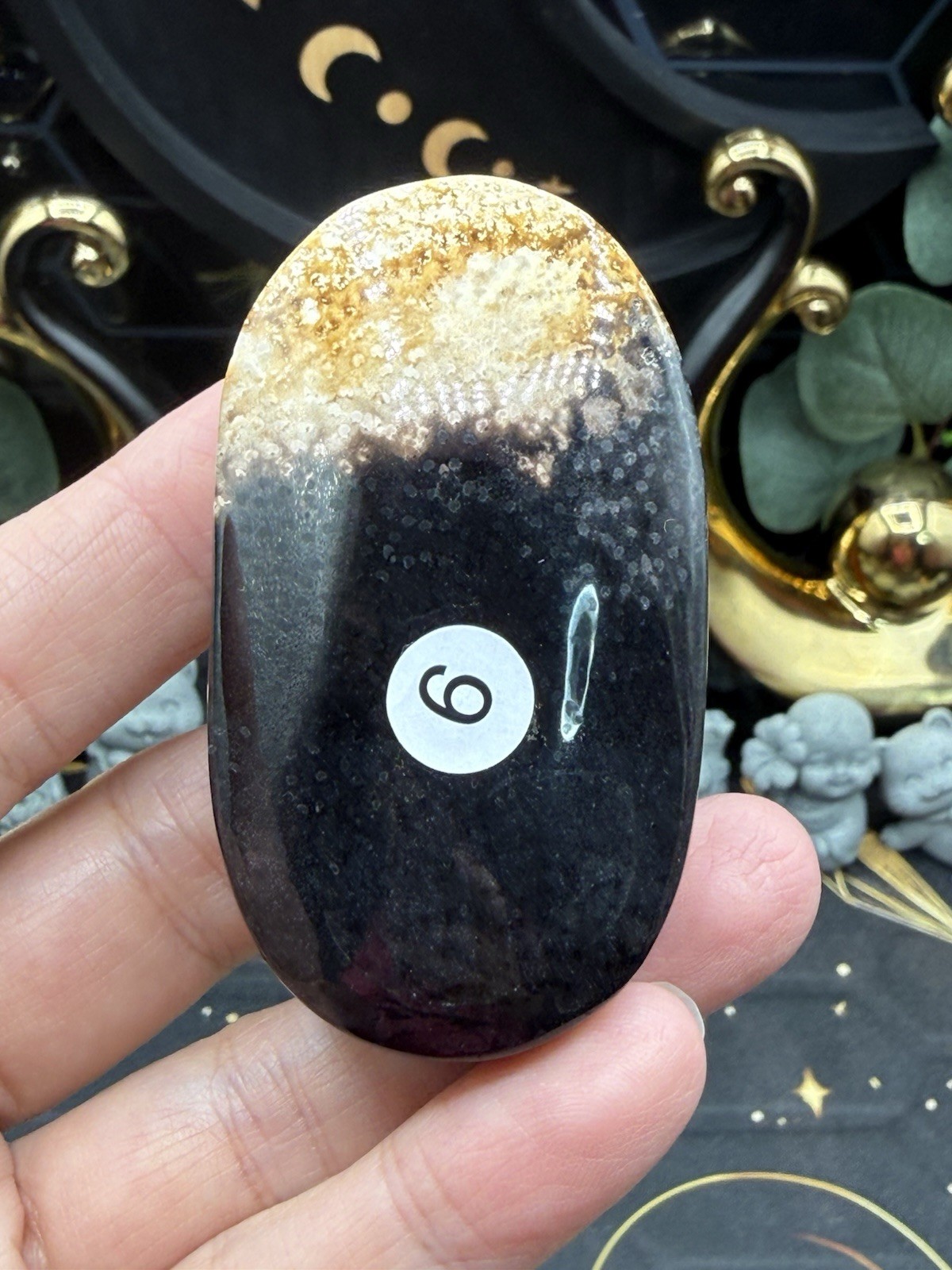 Natural Indonesian Palm Root Palmstones Fossilised Wood Free shipping