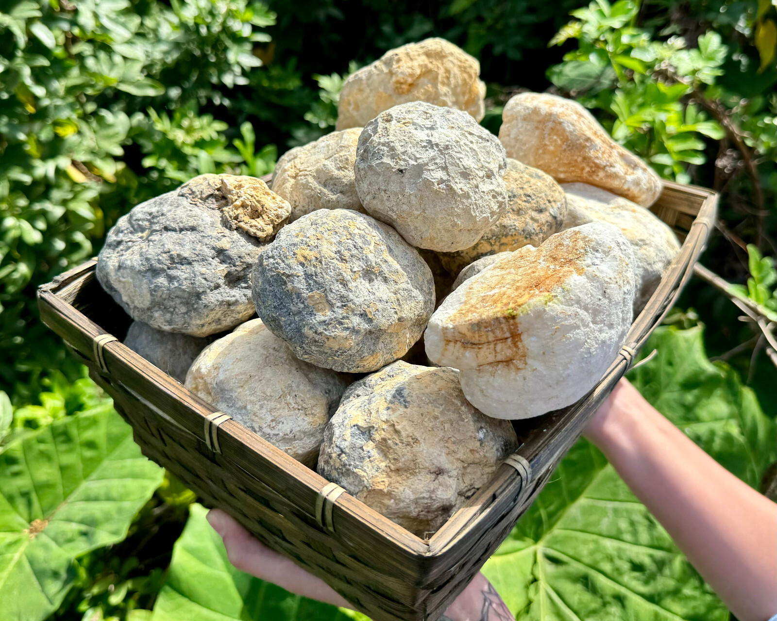 JUMBO Break Your Own Geodes Wholesale Lots – Unopened Moroccan Calcite Crystals