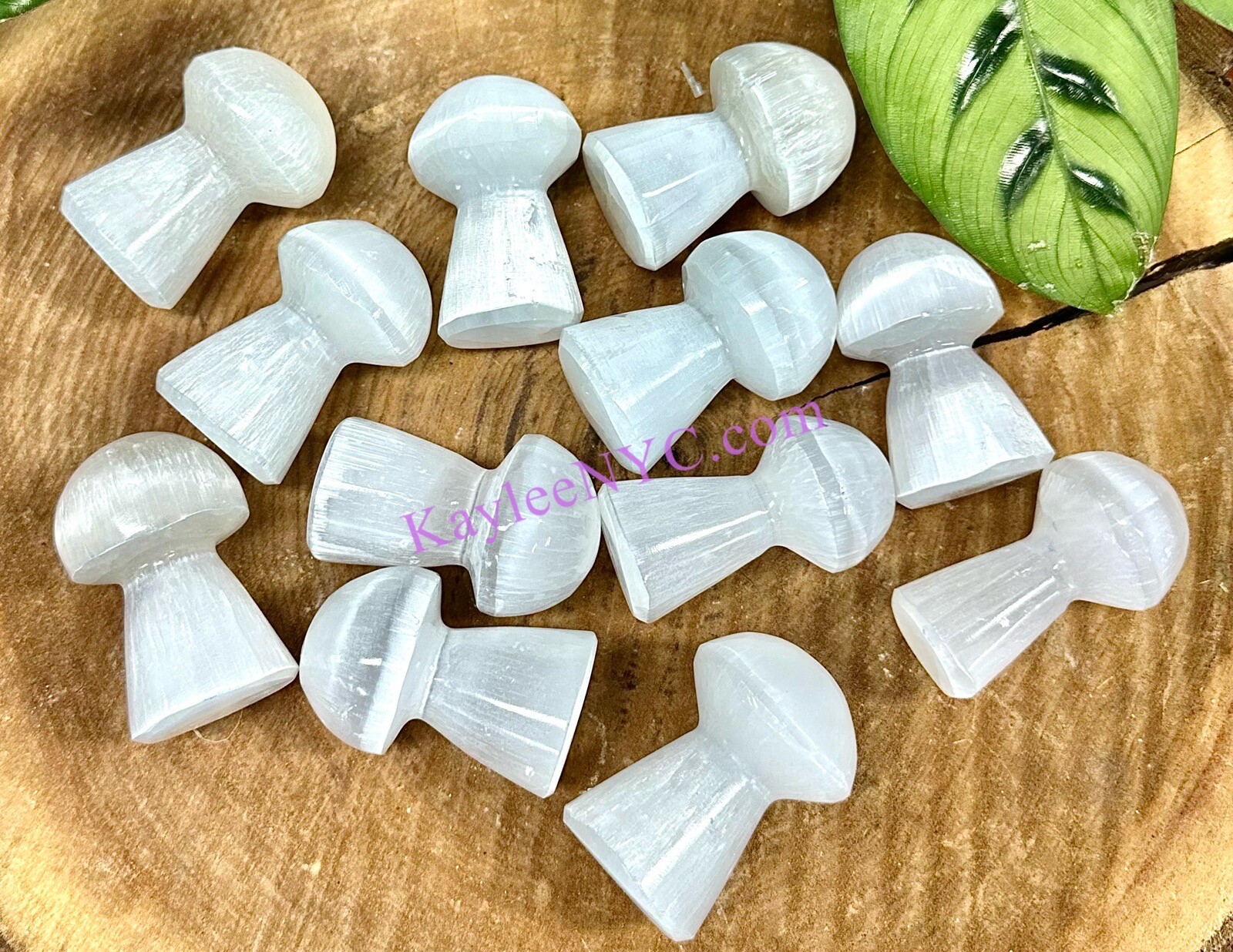 Wholesale Lot 12 PCs Natural Selenite Aka Satin Spar Mushroom Cleansing ~6cm