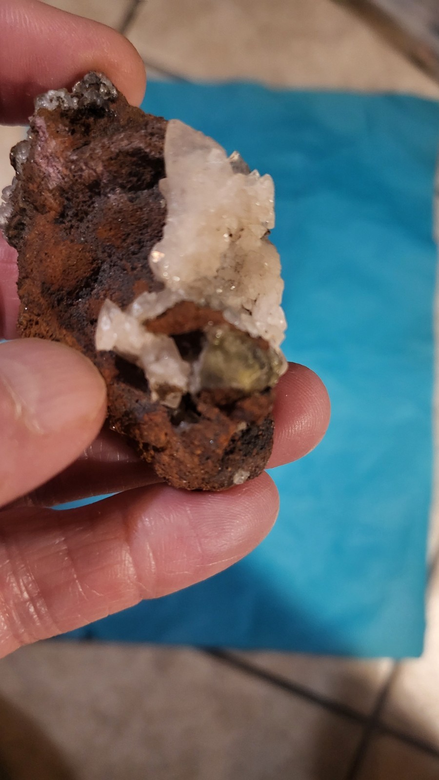 Highly Prized Rock and Mineral Collection