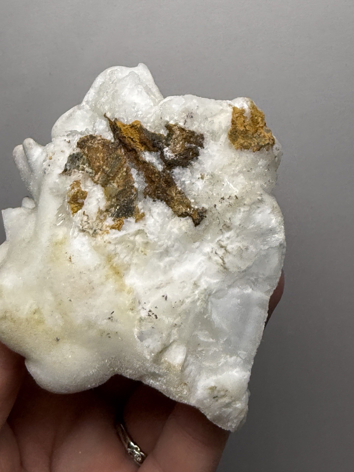 Superb White Flos Ferri Aragonite “Flower of Iron” | Lom Vitošov, Czech Republic