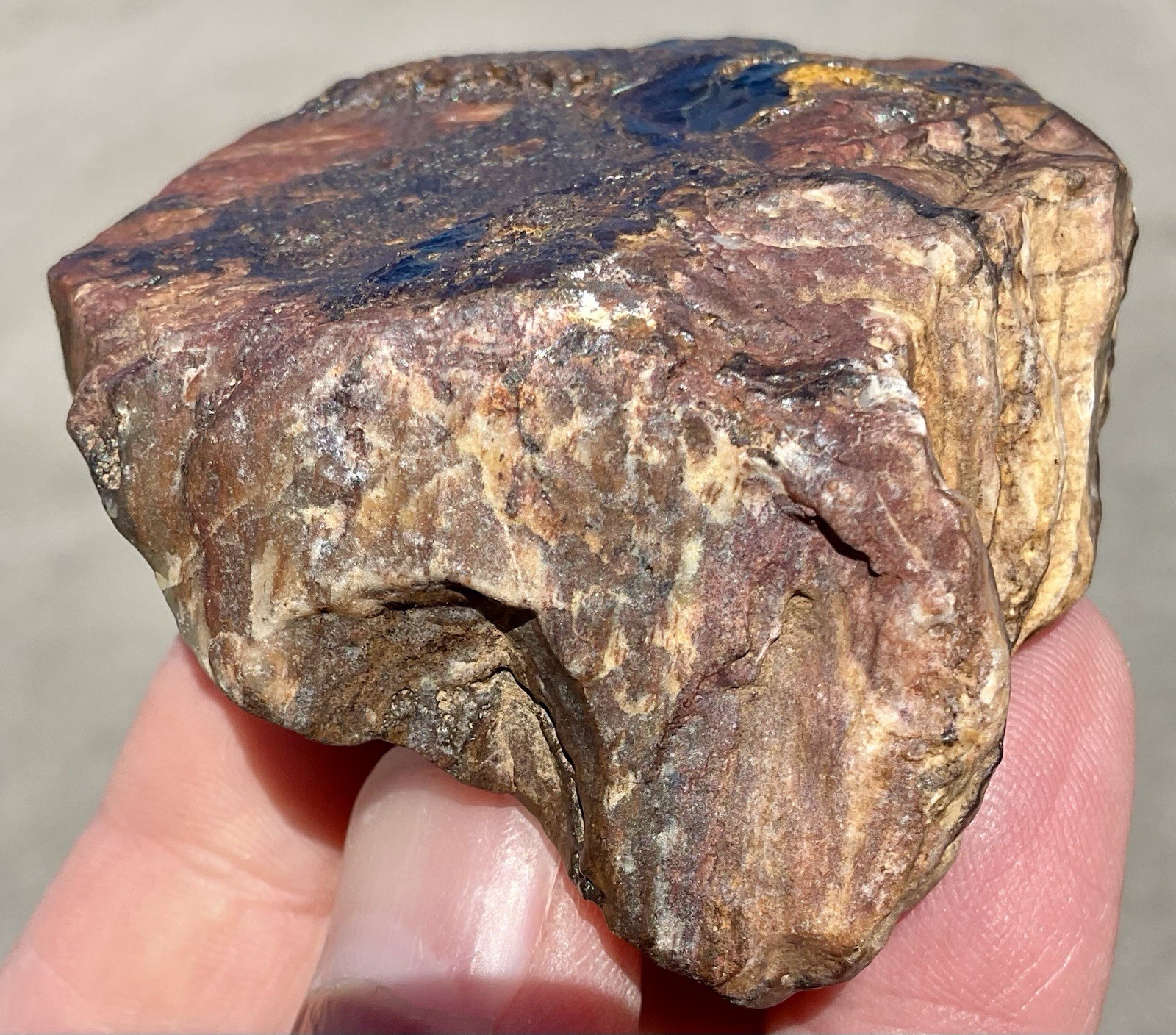 141g Banded Iron Petrified Wood Pseudomorph Rare Minnesota Rough Lapidary