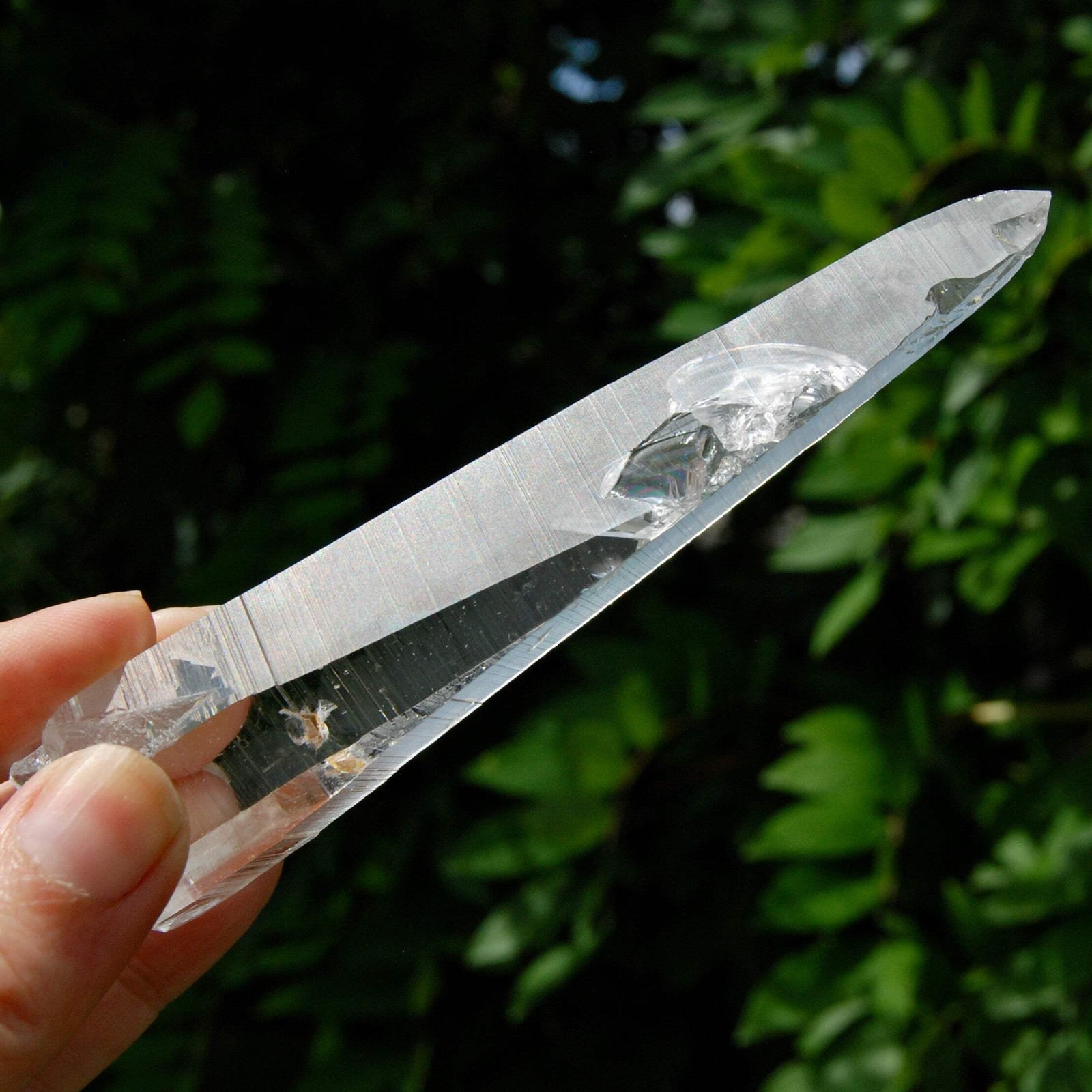 Lemurian Crystal Laser Starbary – 5.25″ 111g Etched Optical Empathic Warrior Qua