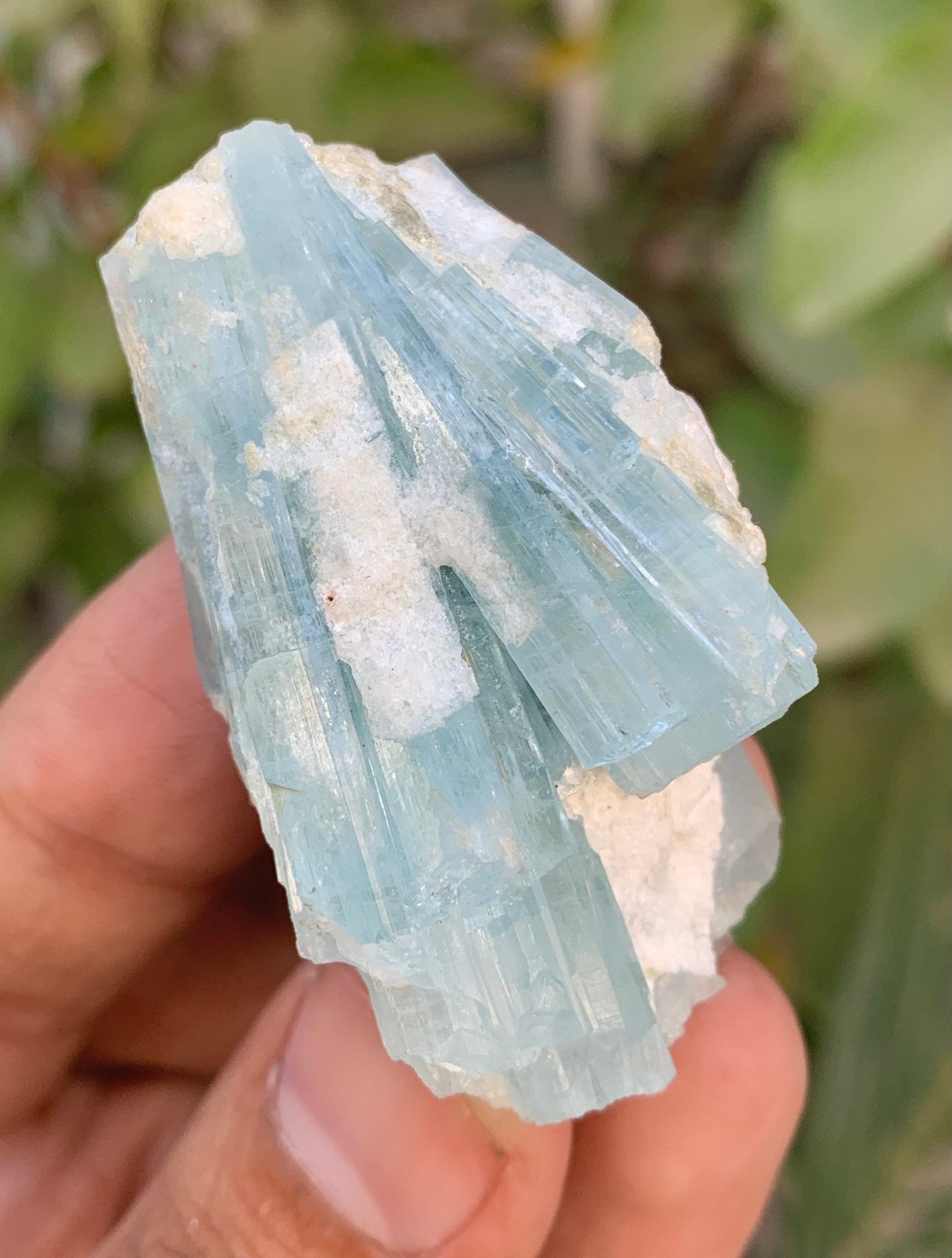 38 Gm Natural Sky Blue Aquamarine Crystal Cluster Specimen From Skardu Pakistan