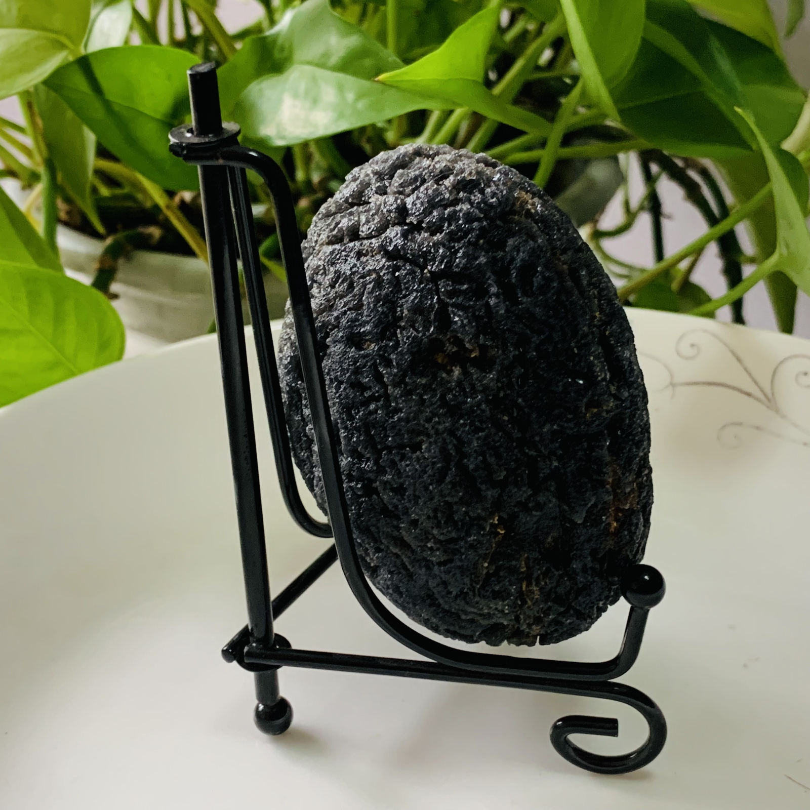 TOP 286g Natural Carbonaceous Chondrite Meteorite with Black reiki healing+stand