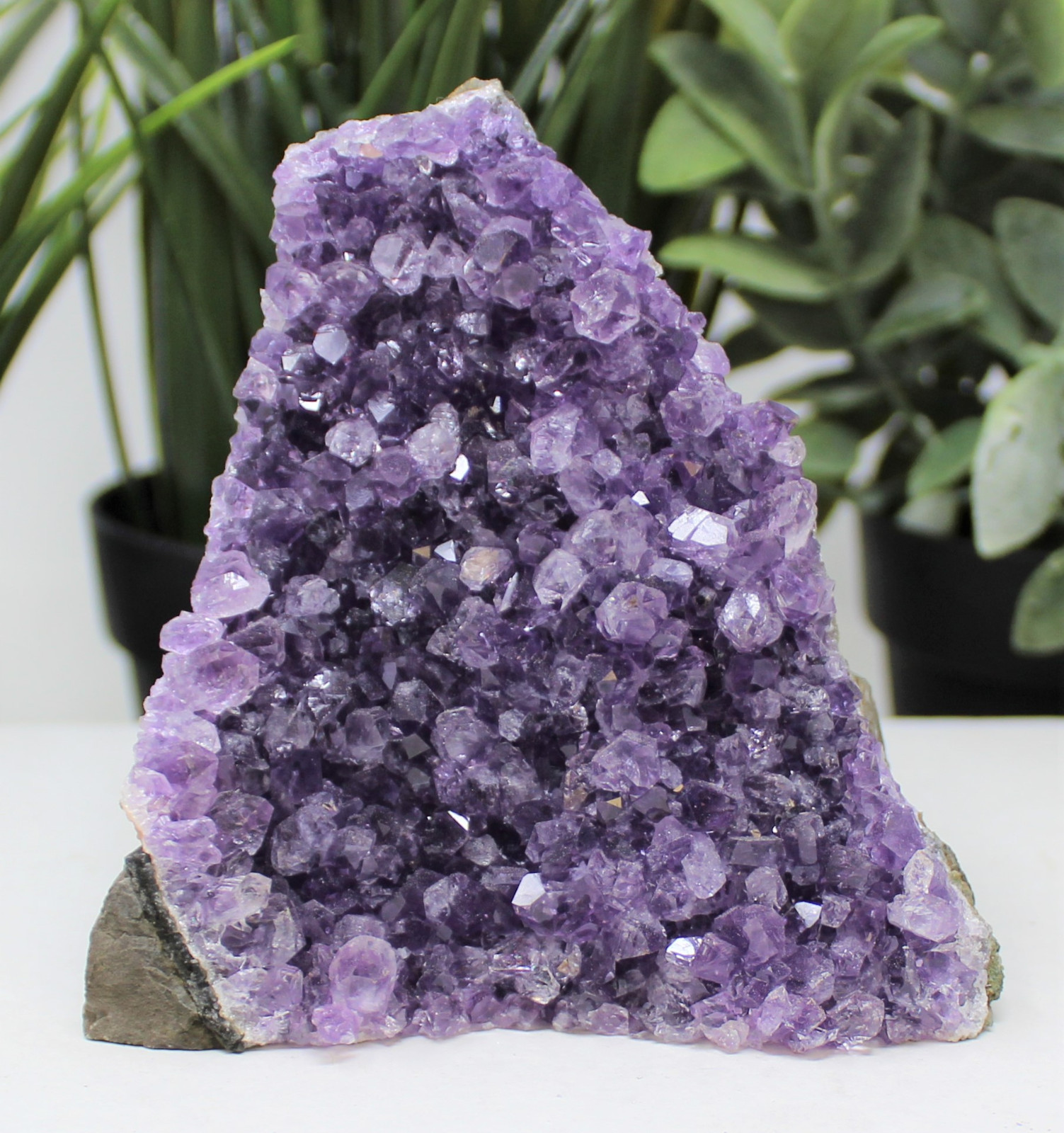 Stunning EXTRA LARGE Amethyst Cut Base Cluster Crystal Quartz Geode 12 oz – 1 lb